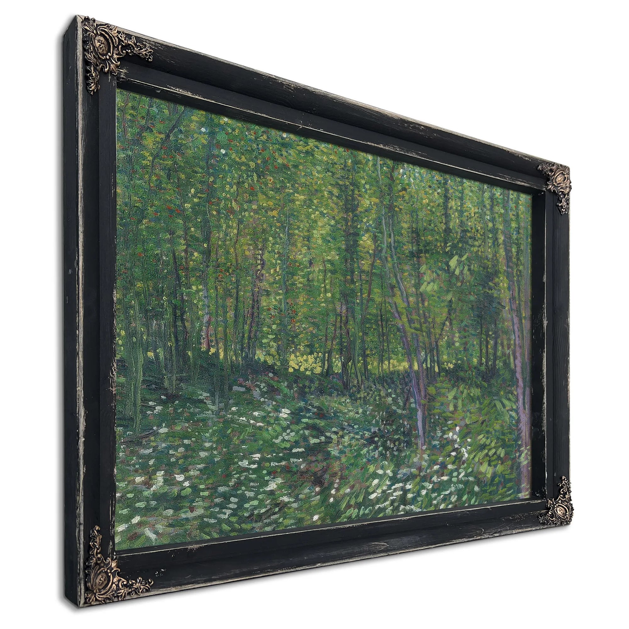 Trees And Undergrowth By Vincent Van Gogh Fine Art Print