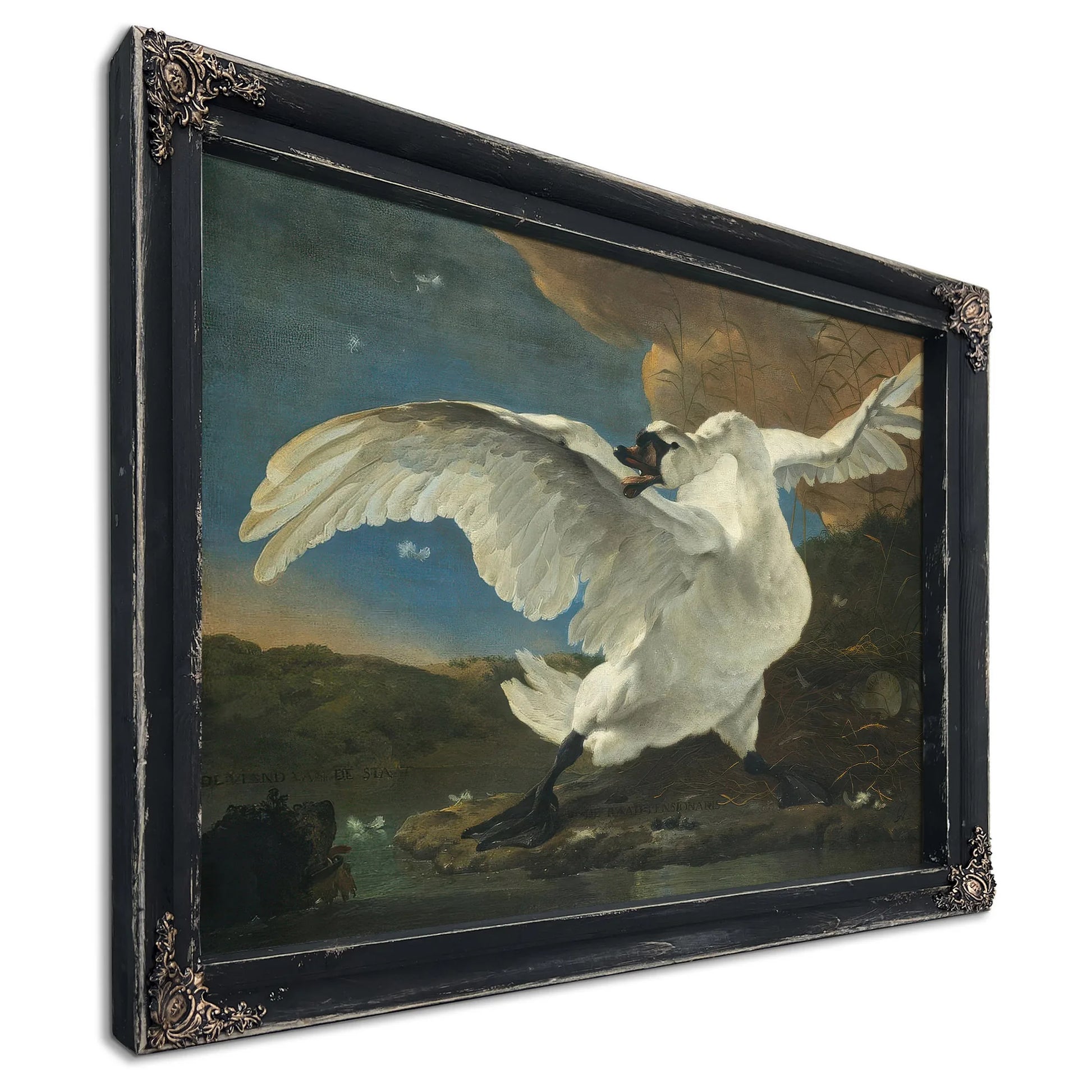 The Threatened Swan By Jan Asselyn Fine Art Print