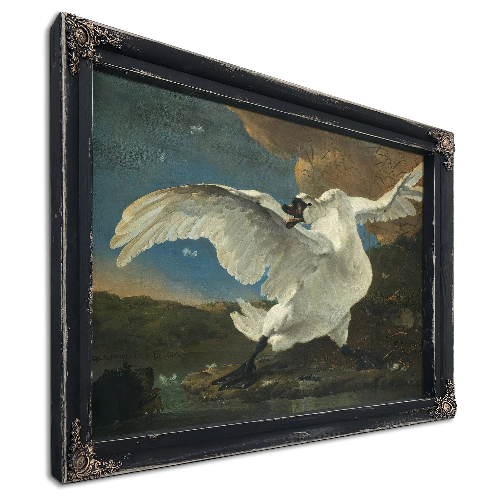 The Threatened Swan By Jan Asselyn Fine Art Print