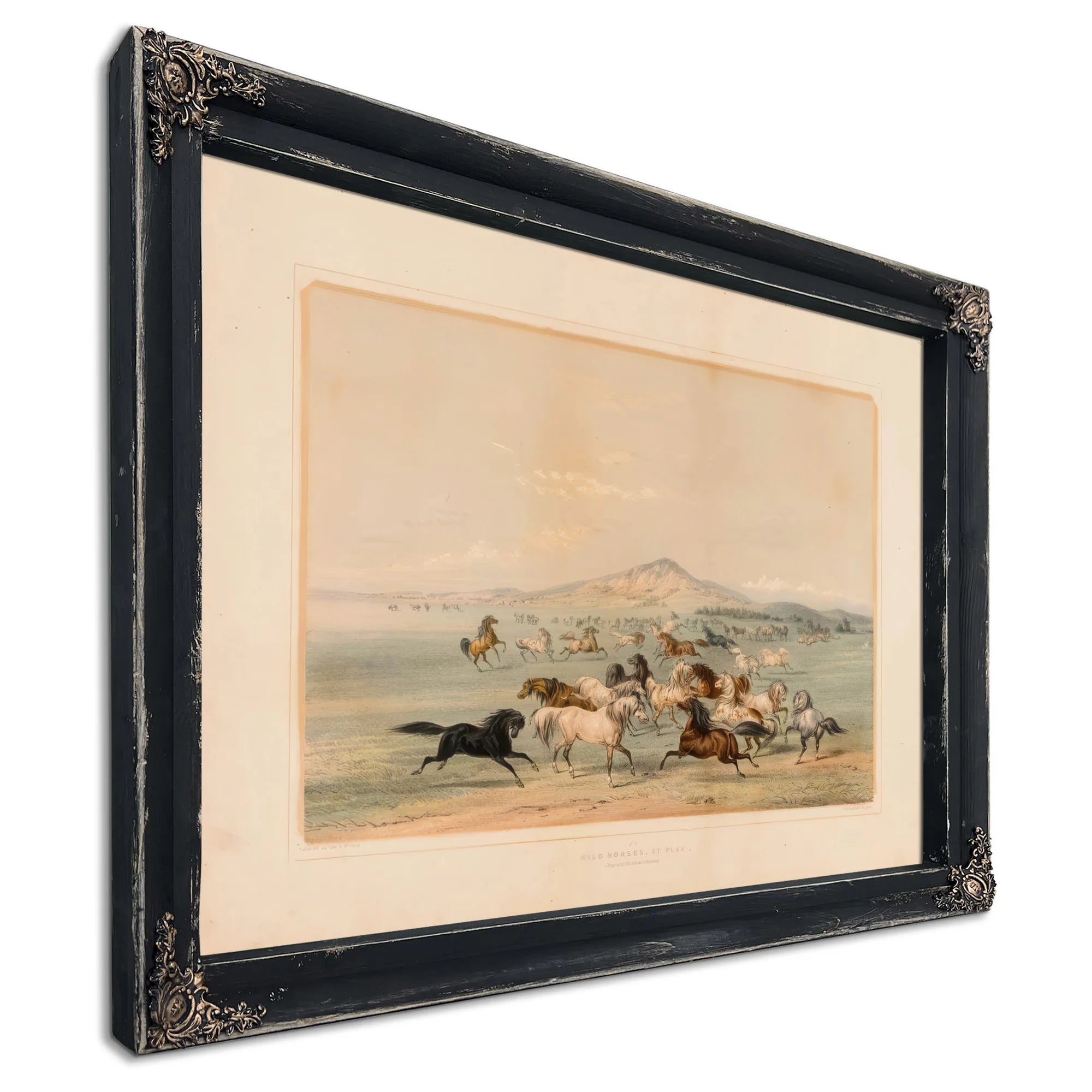 Wild Horses At Play No. 3 By George Catlin Fine Art Print