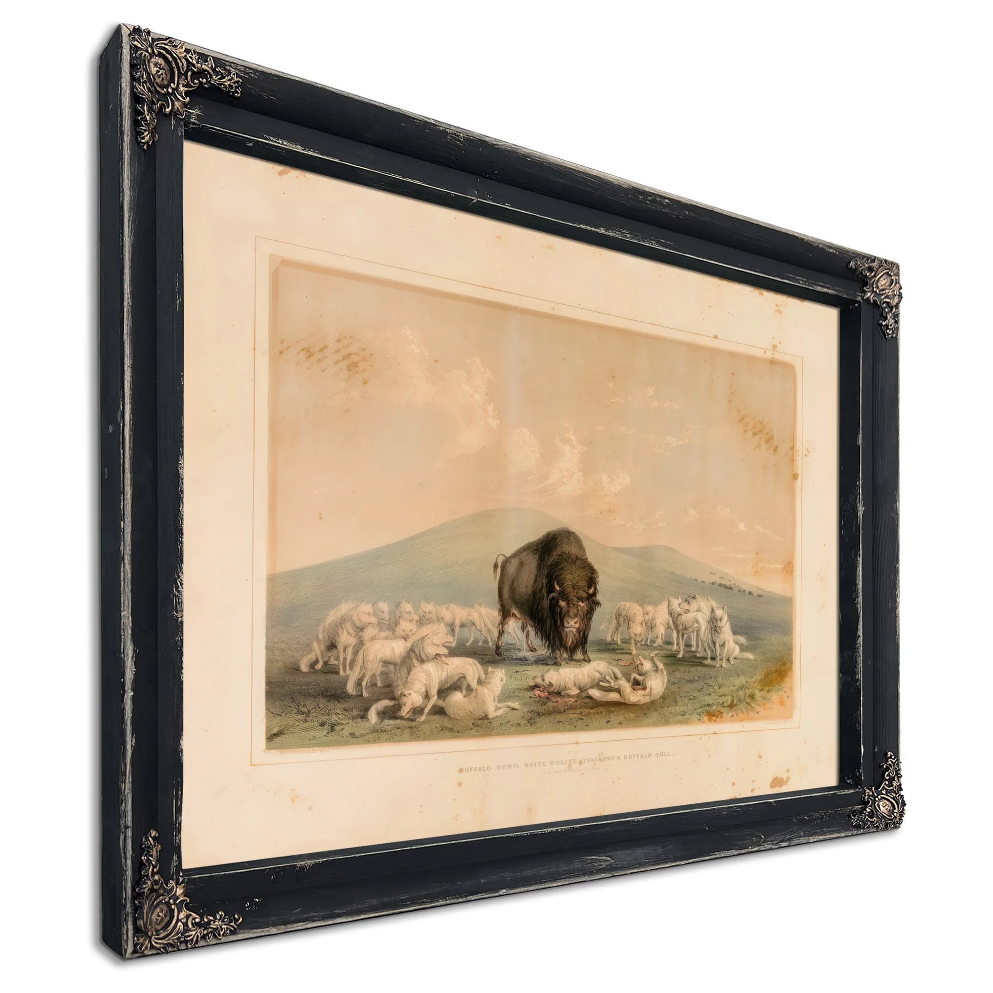 Buffalo Hunt, White Wolves Attacking A Buffalo Bull No. 10 By George Catlin Fine Art Print