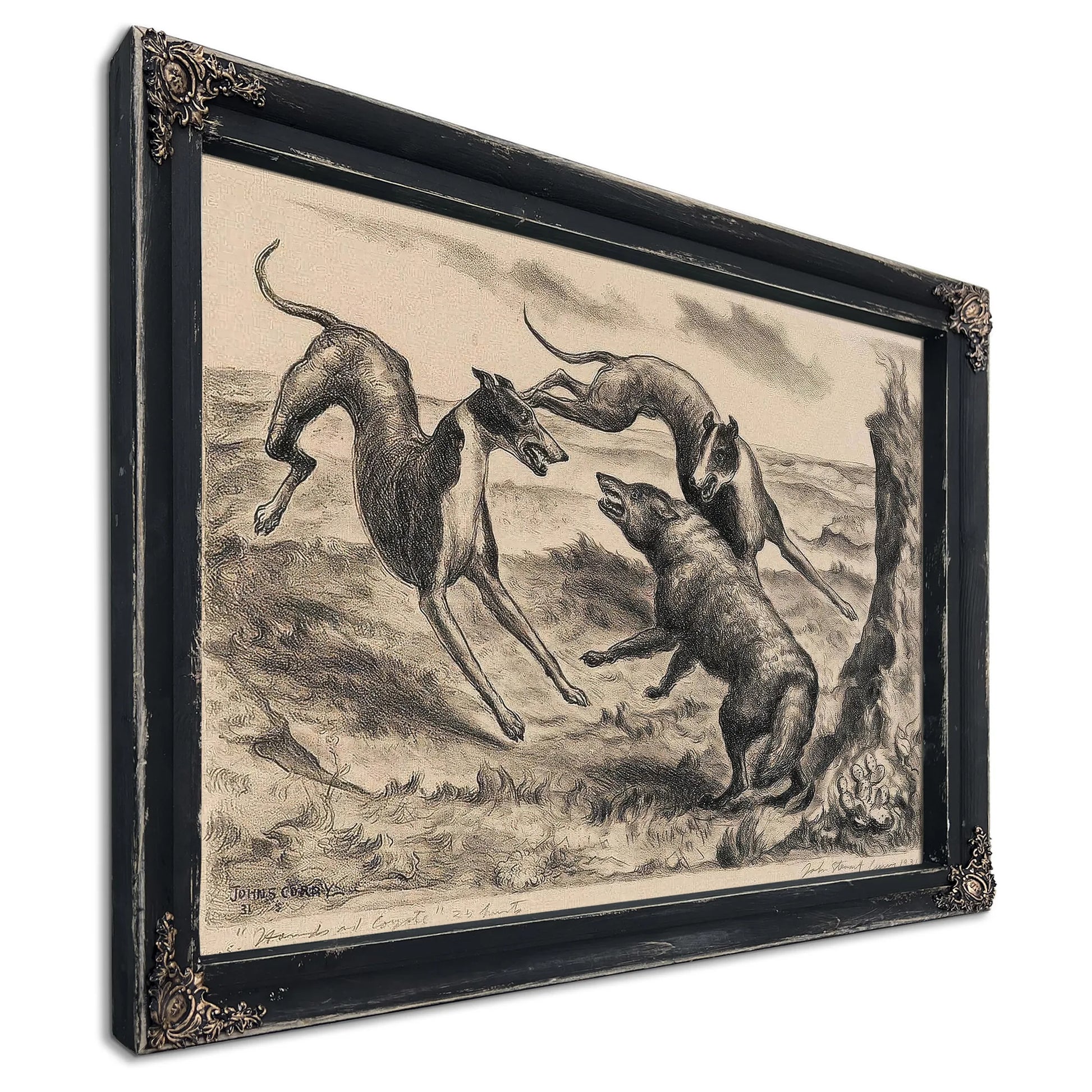Hounds And Coyote (C. 12), 1931 By John Steuart Curry Fine Art Print