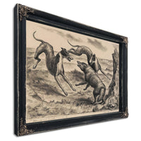 Hounds And Coyote (C. 12), 1931 By John Steuart Curry