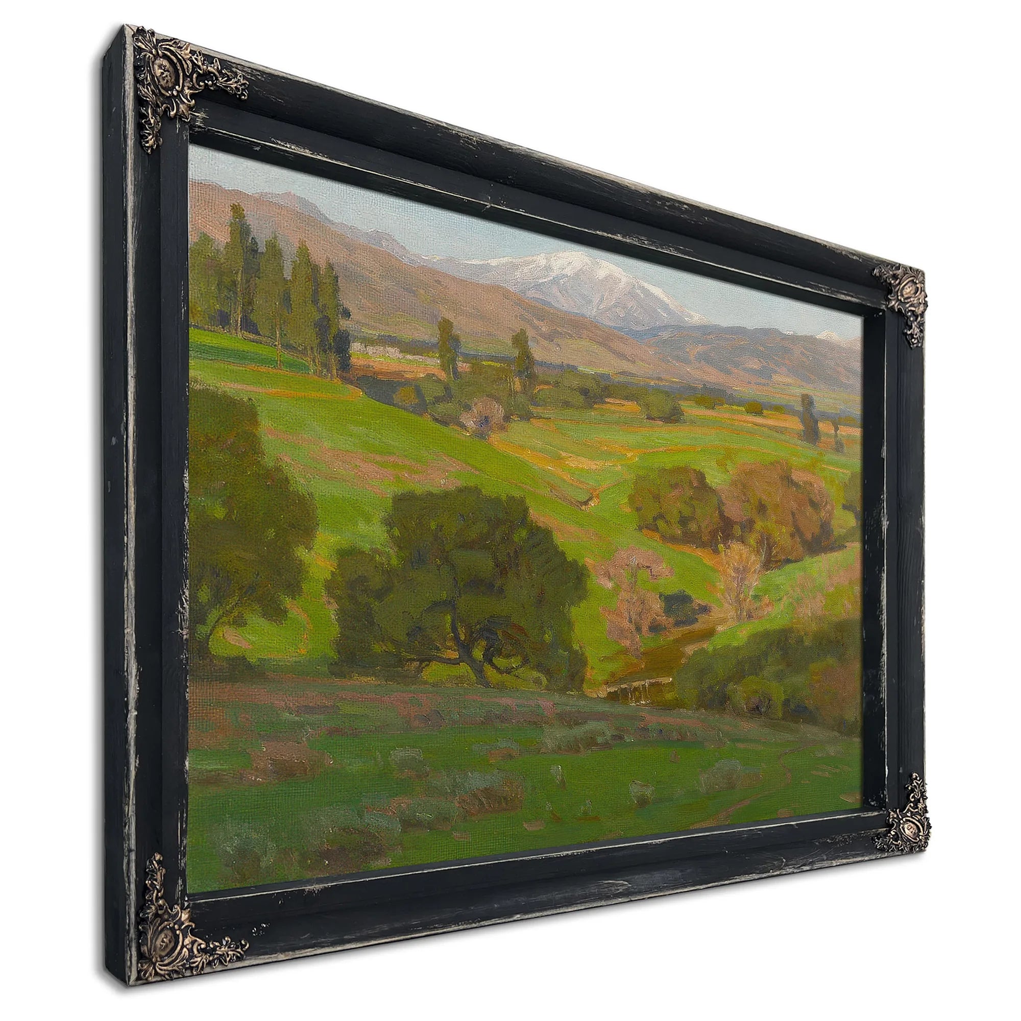 A Vista Towards Mt. Baldy By William Wendt Fine Art Print