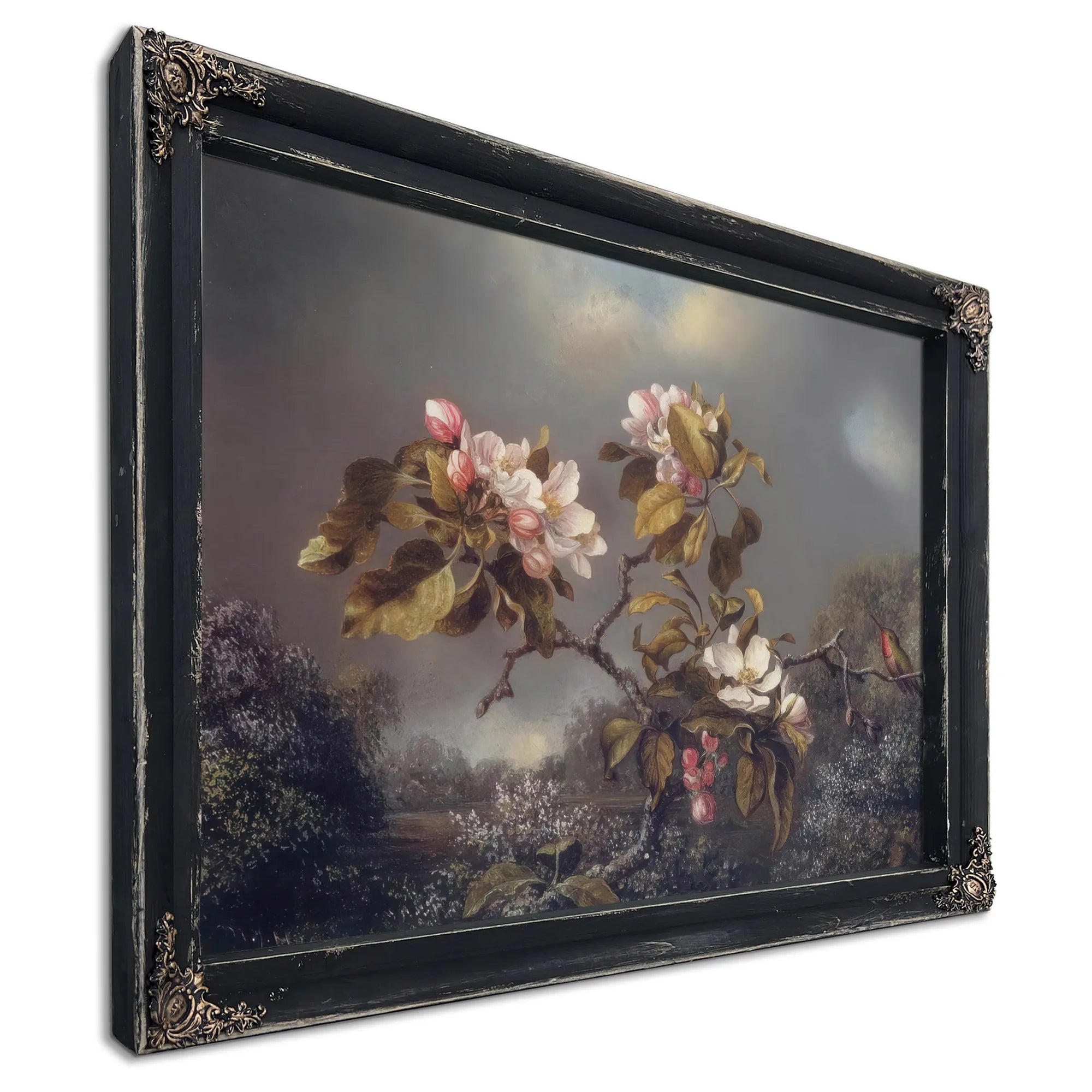 Apple Blossoms And Hummingbird By Martin Johnson Heade Fine Art Print