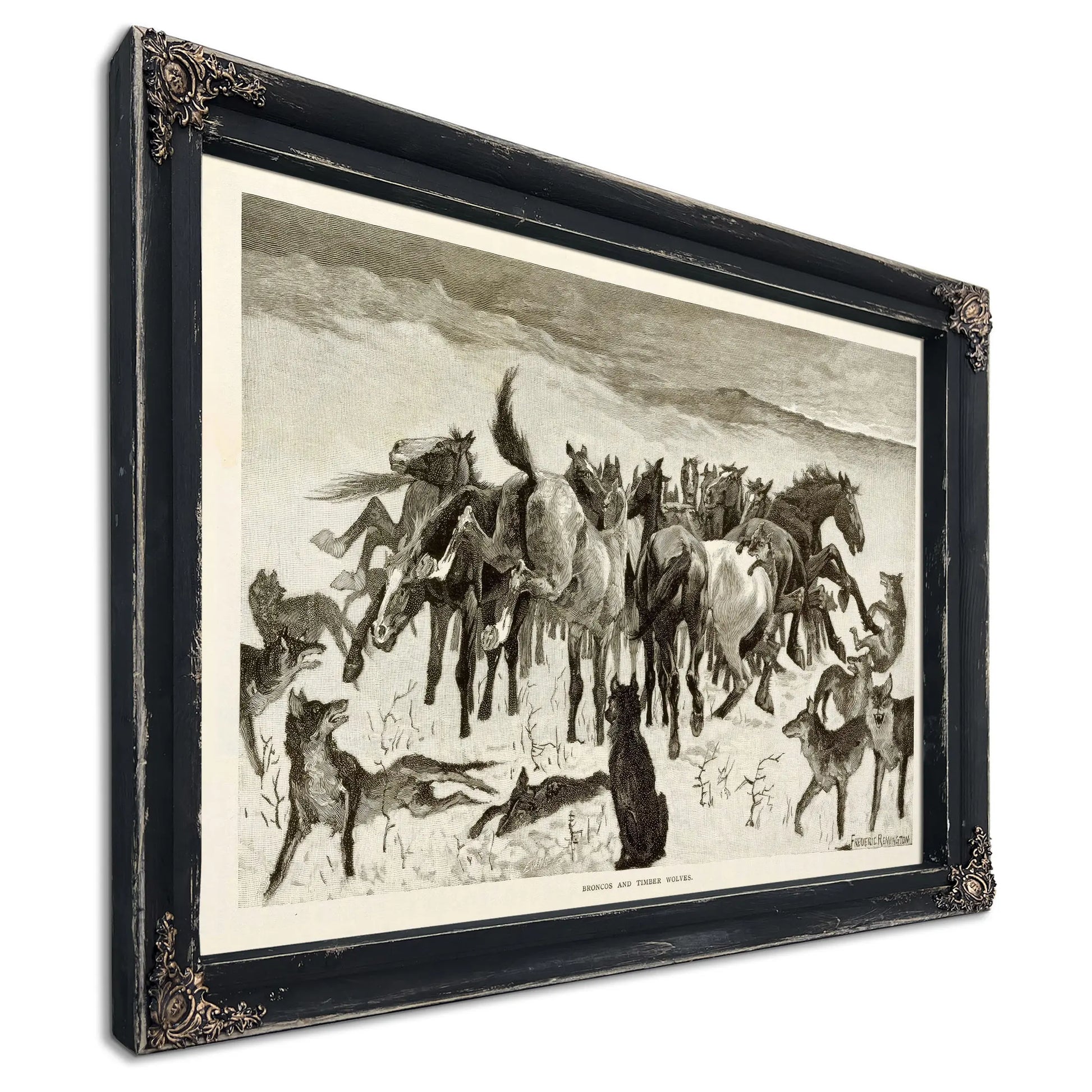 Broncos And Timber Wolves by Frederic Remington