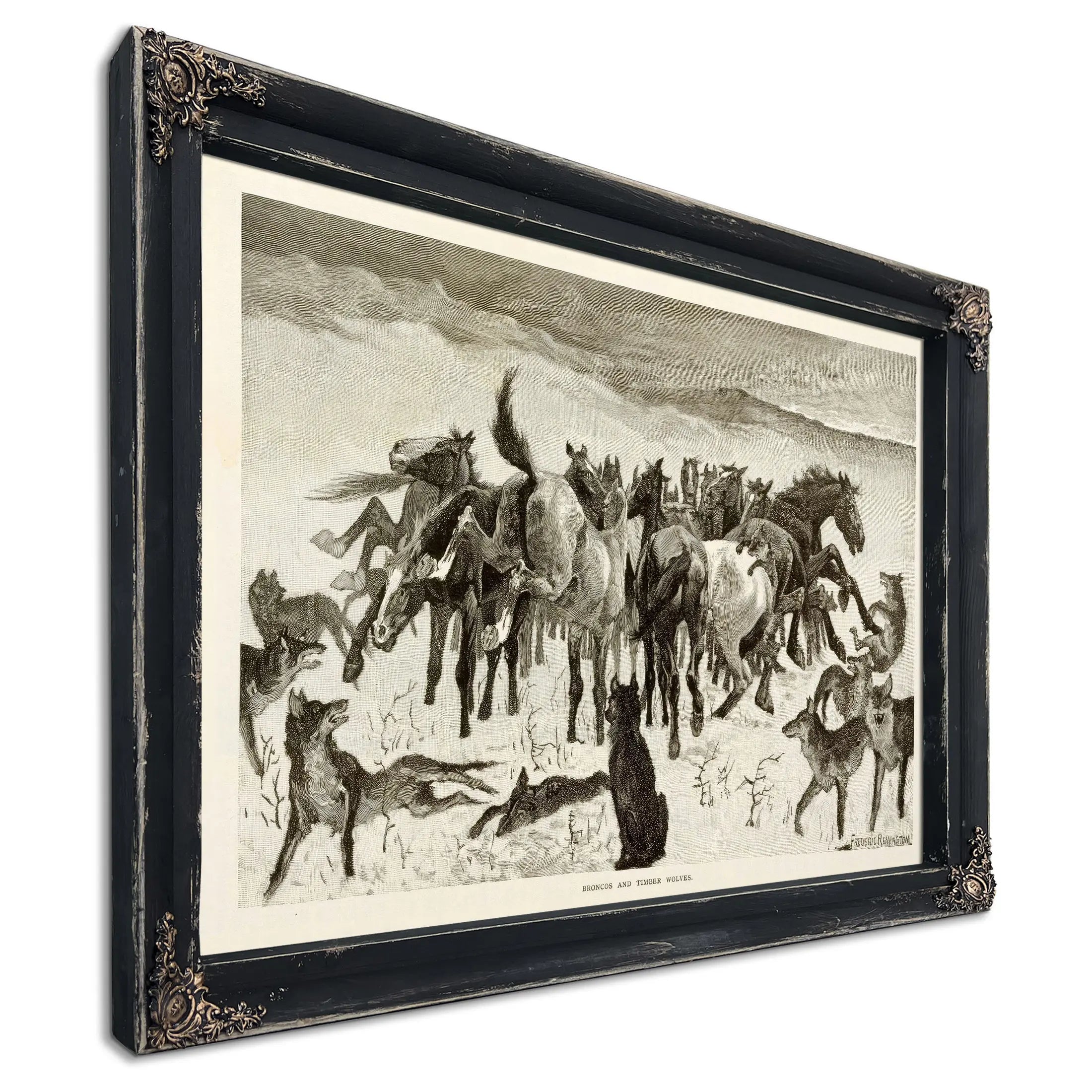Broncos And Timber Wolves by Frederic Remington