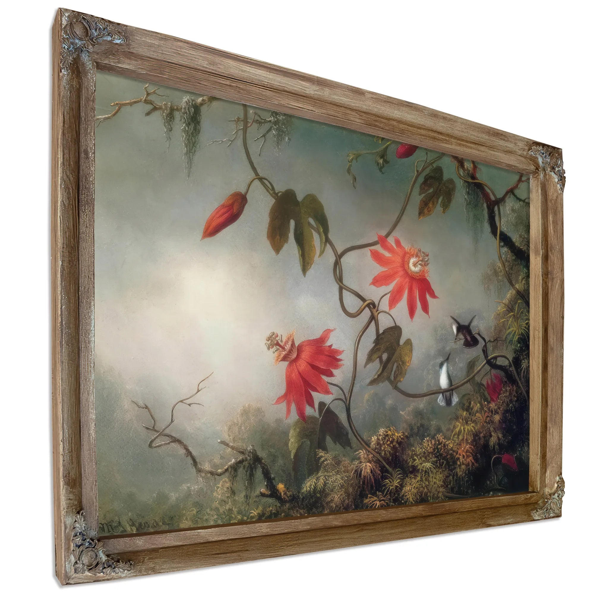 Passion Flowers And Hummingbirds By Martin Johnson Heade Fine Art Print