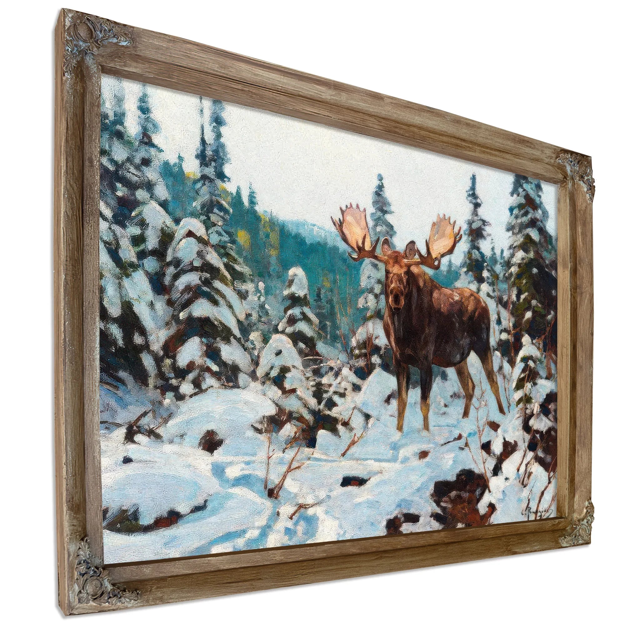 Bull Moose By Carl Rungius Fine Art Print
