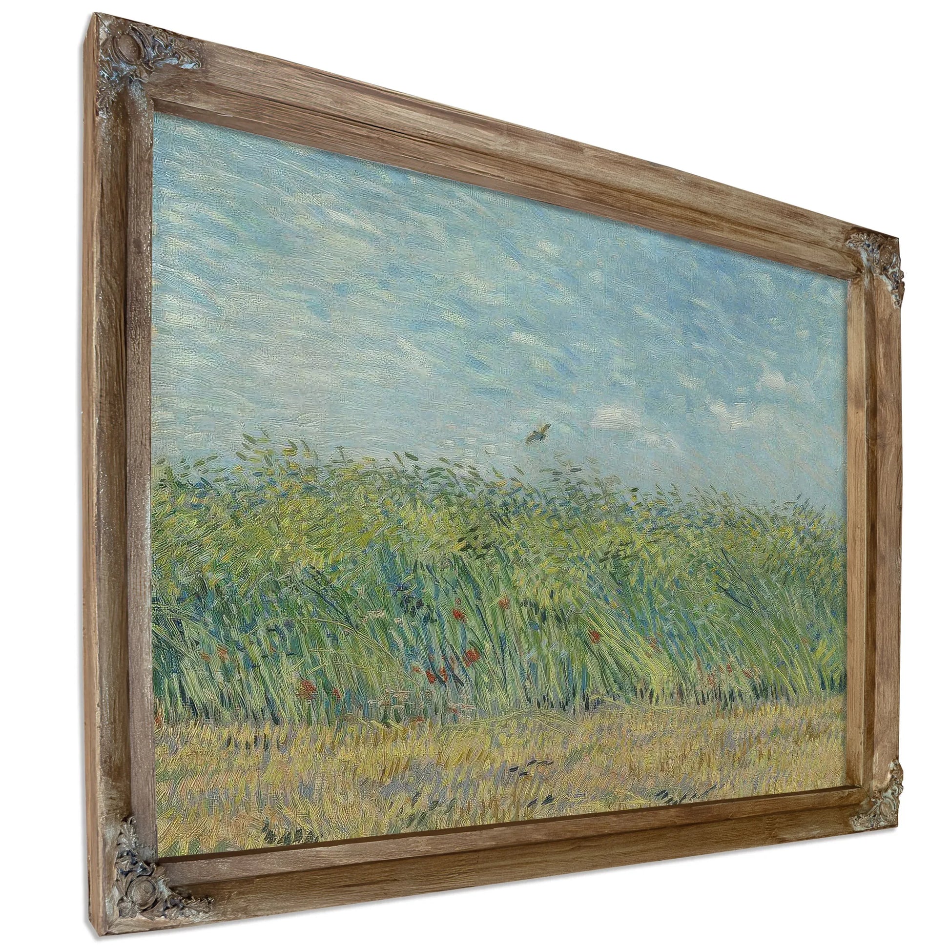 Wheatfield With Partridge By Vincent Van Gogh Fine Art Print