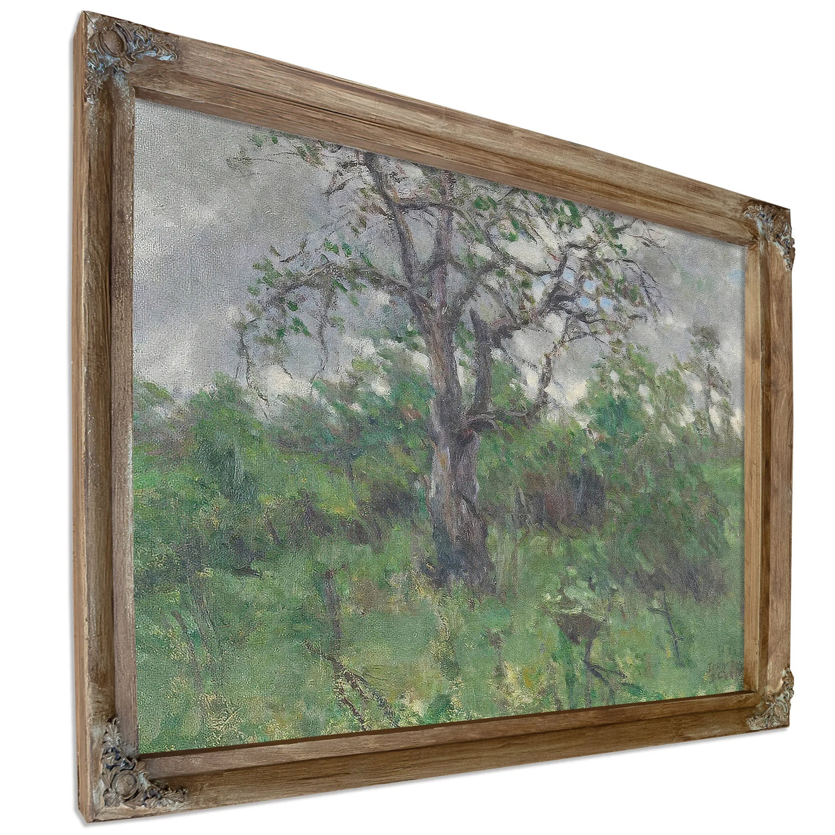 A Landscape With Tree, Spring By John Steuart Curry