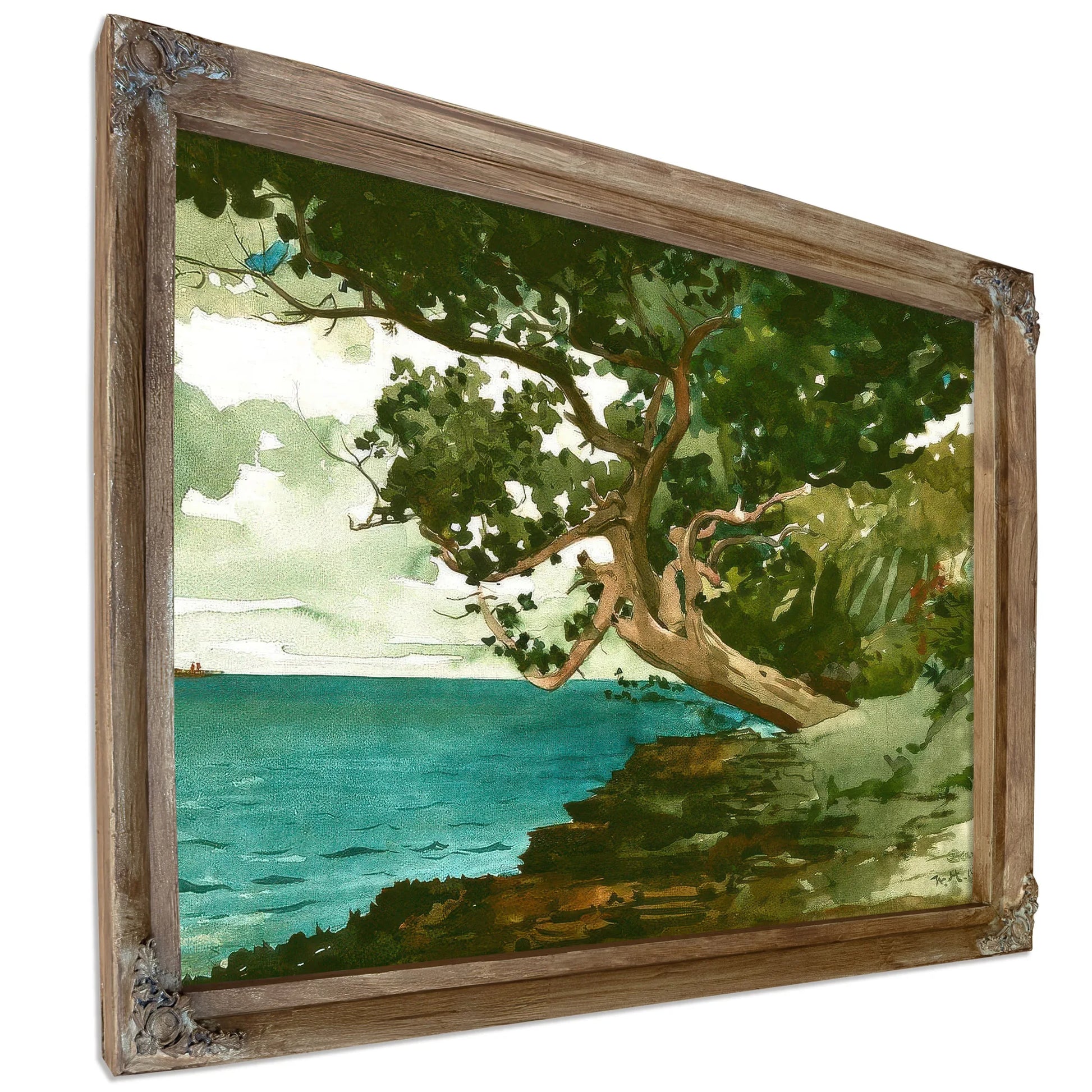 Bermuda By Winslow Homer Fine Art Print