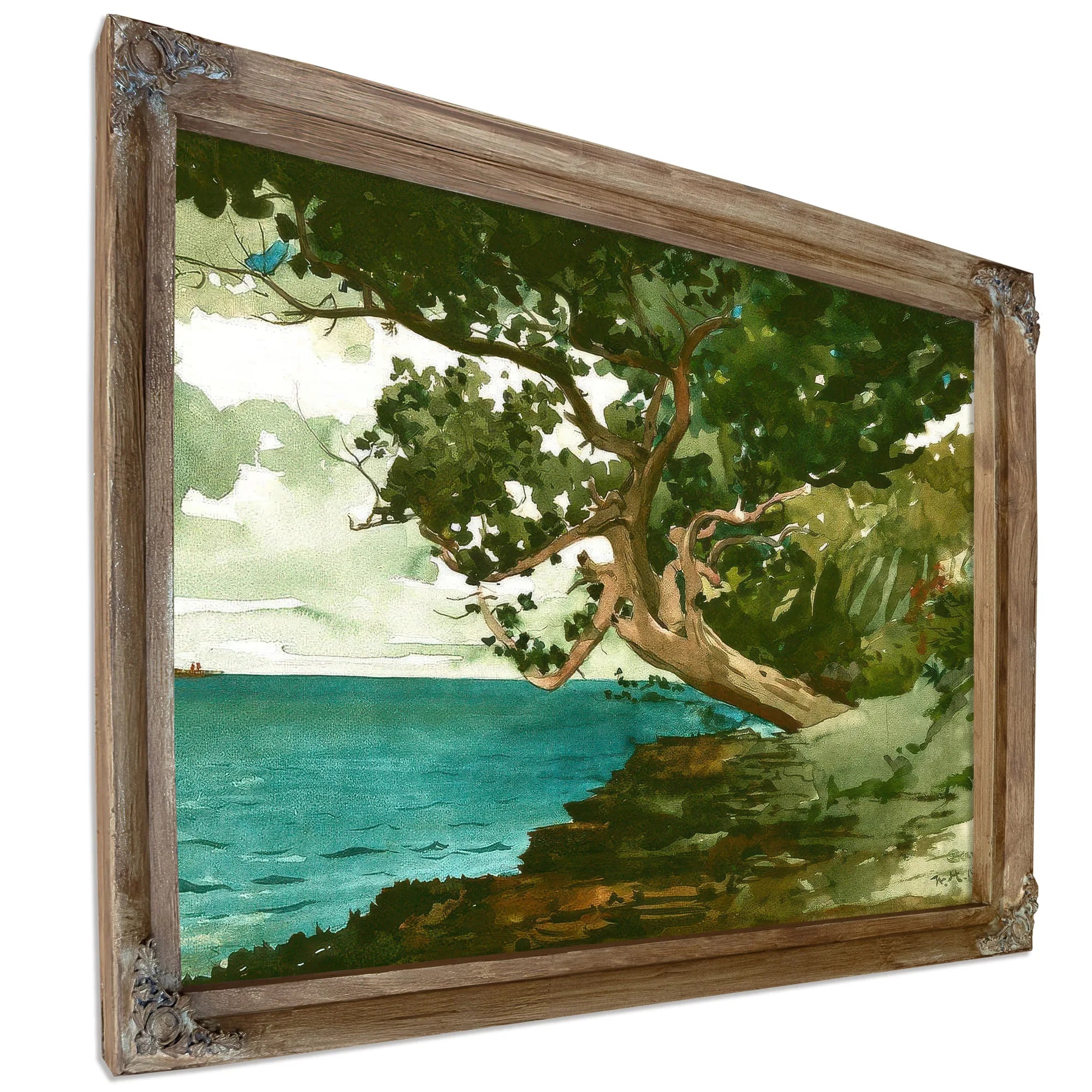Bermuda By Winslow Homer Fine Art Print