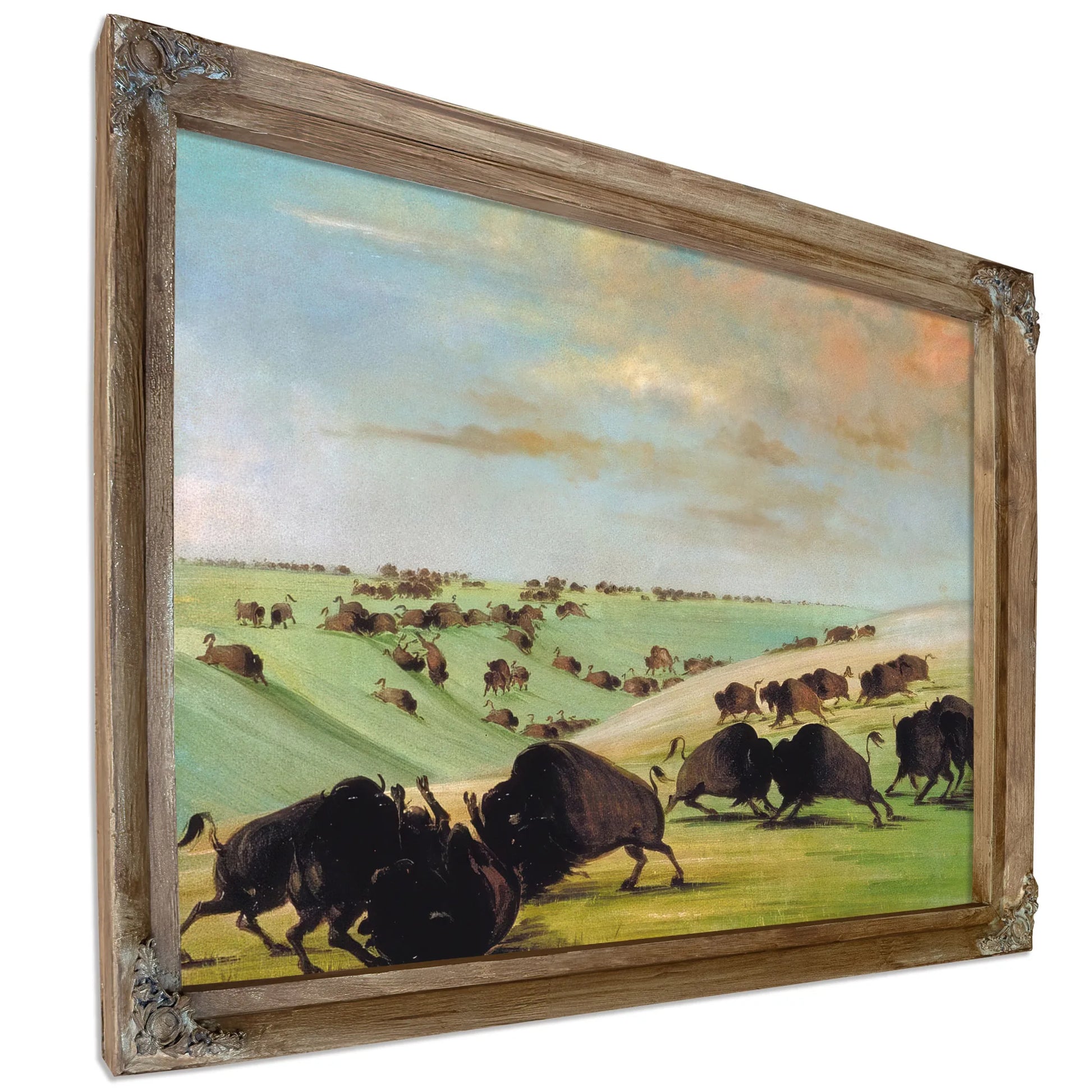Buffalo Bulls Fighting In Running Season, Upper Missouri By George Catlin Fine Art Print