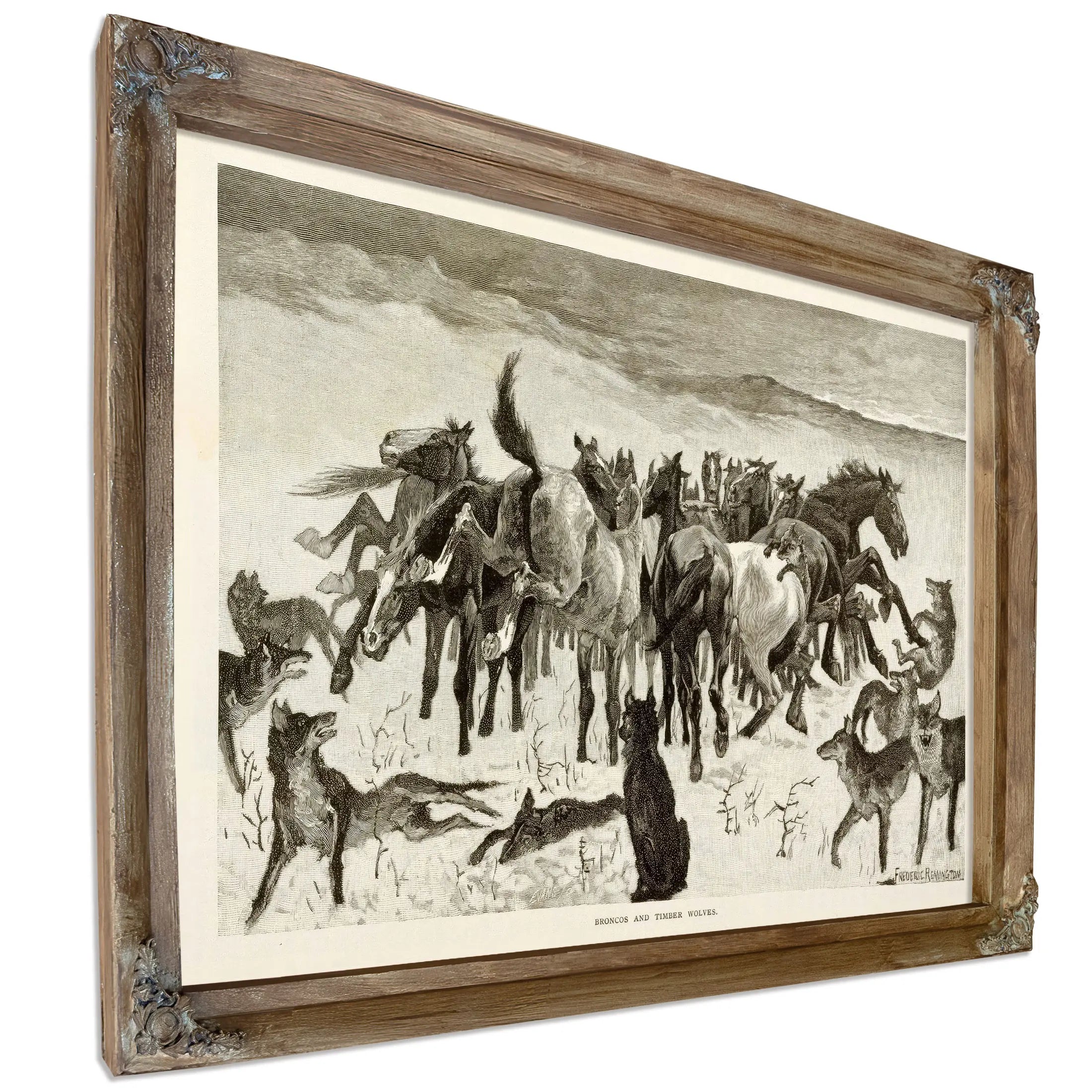 Broncos And Timber Wolves by Frederic Remington