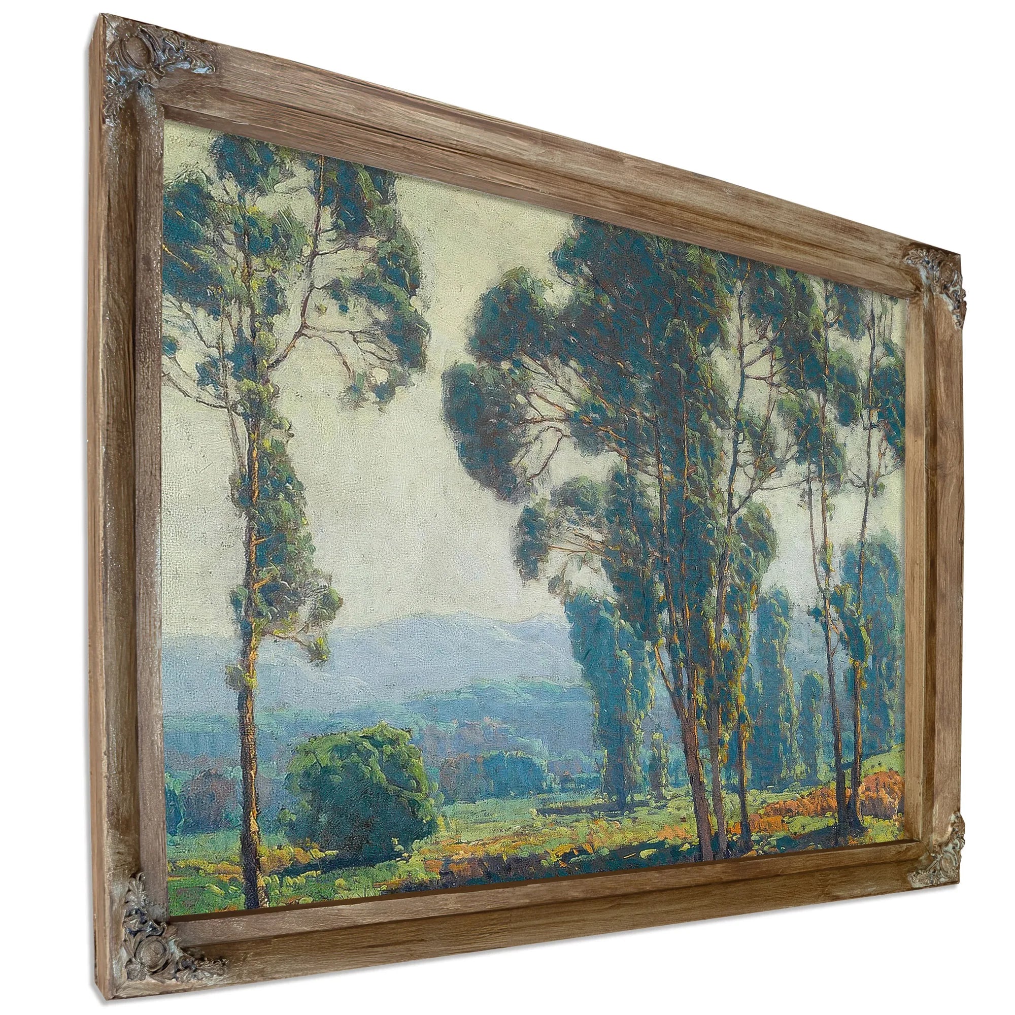 Eucalyptus Trees By Edgar Payne Fine Art Print