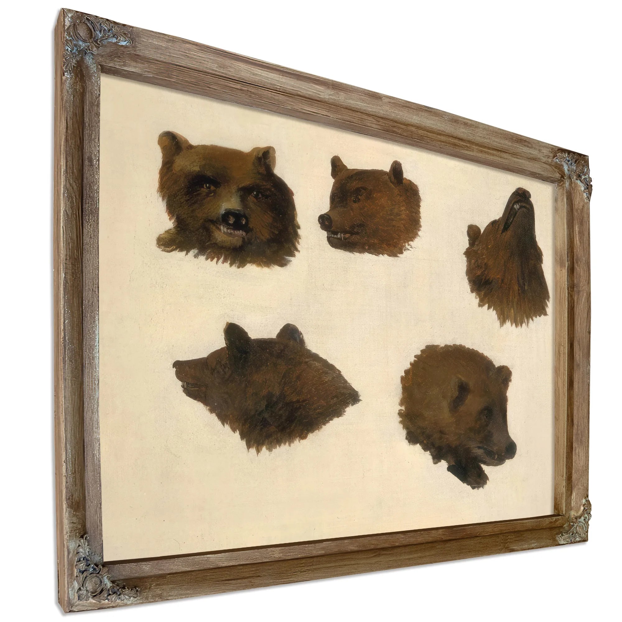Portraits Of Two Grizzly Bears, From Life By George Catlin Fine Art Print