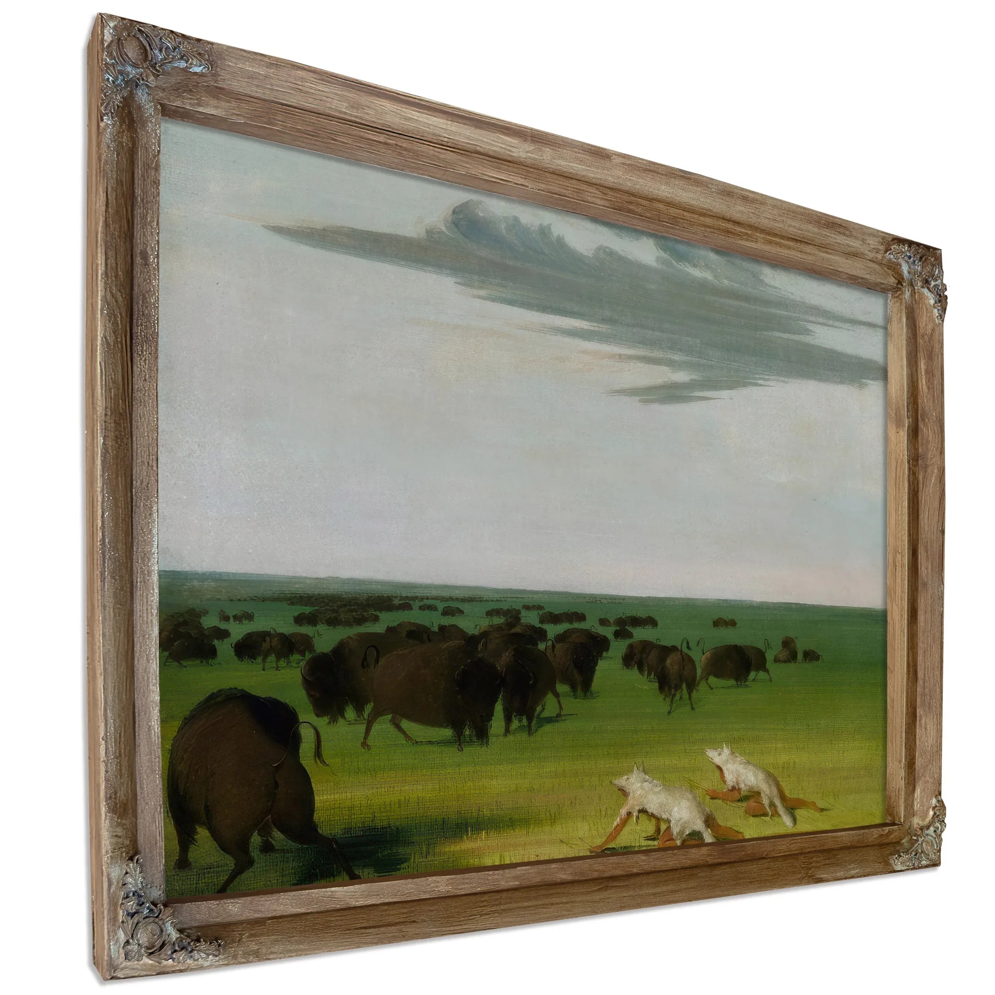 Buffalo Hunt Under The Wolf Skin Mask By George Catlin Fine Art Print