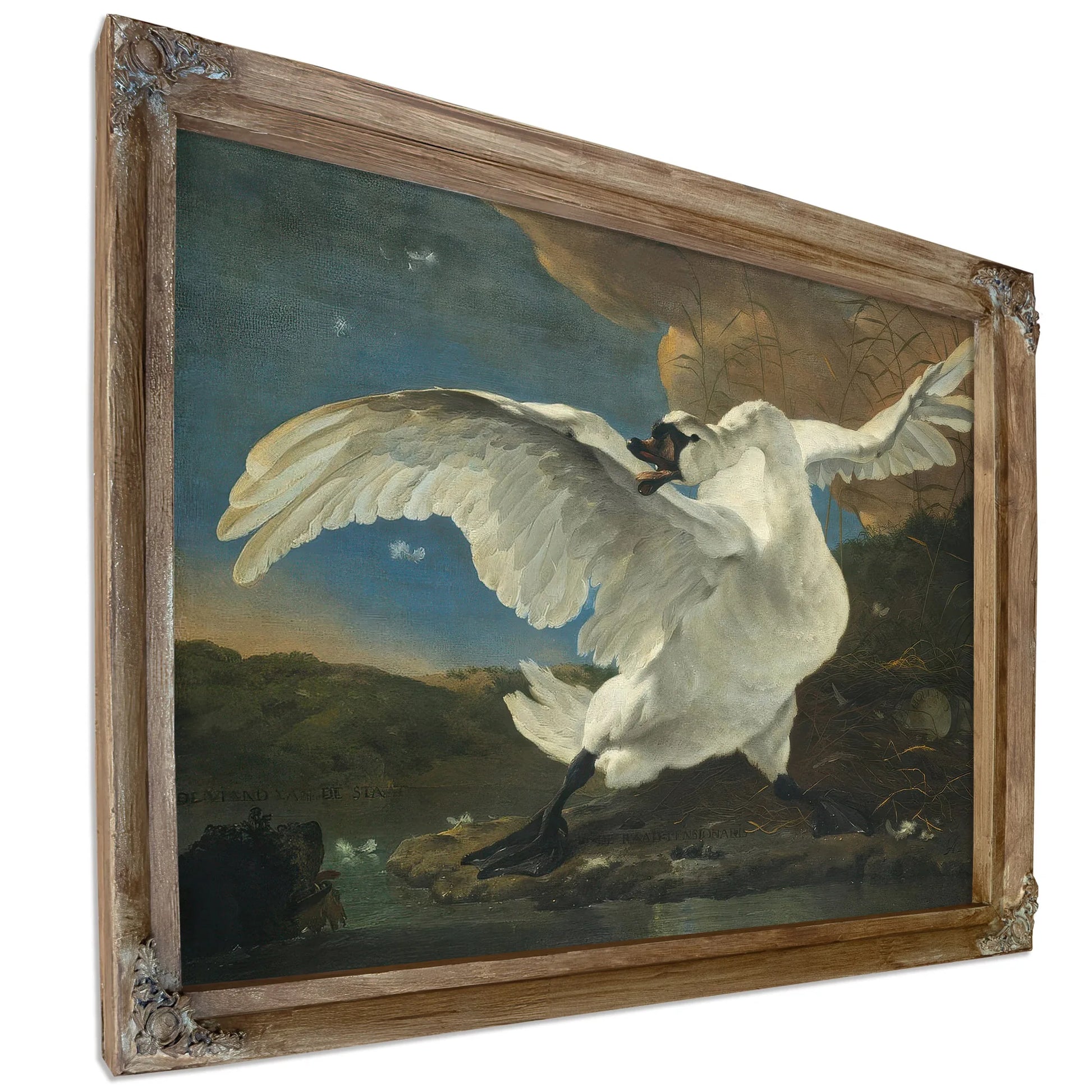 The Threatened Swan By Jan Asselyn Fine Art Print