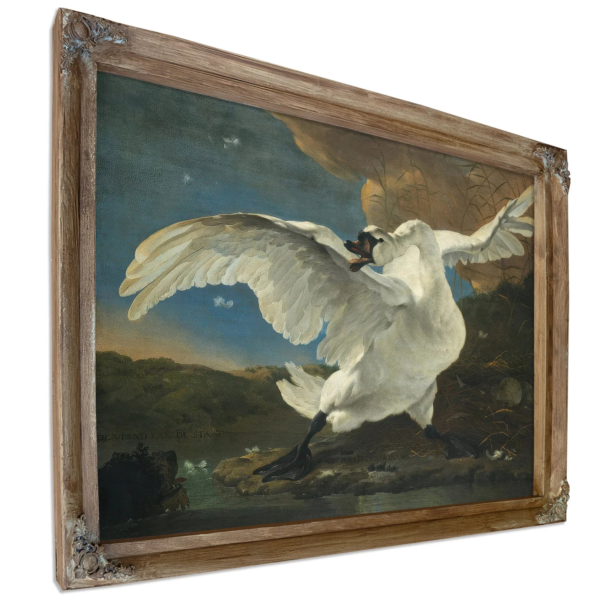 The Threatened Swan By Jan Asselyn Fine Art Print