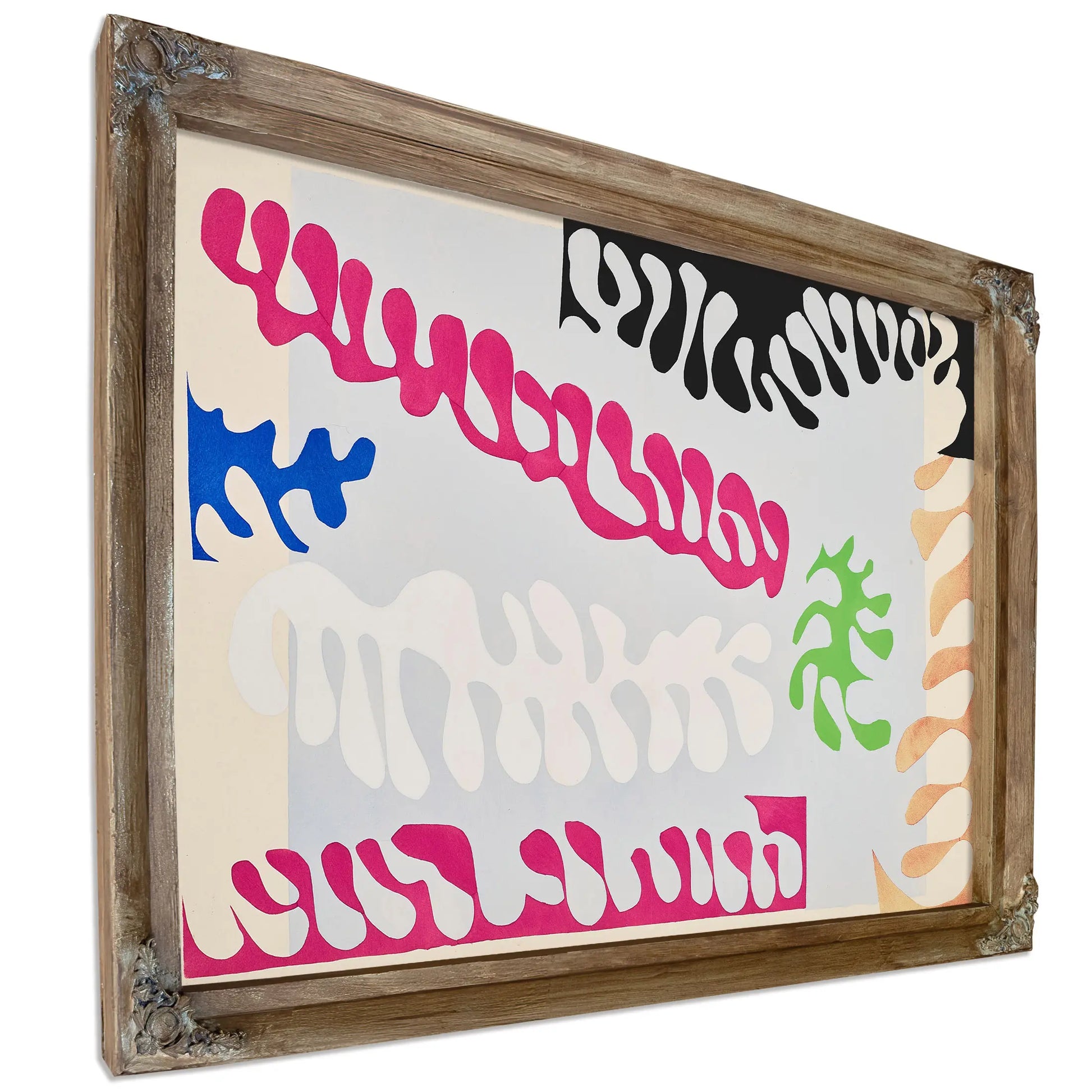The Snail (L Escargot) by Henri Matisse
