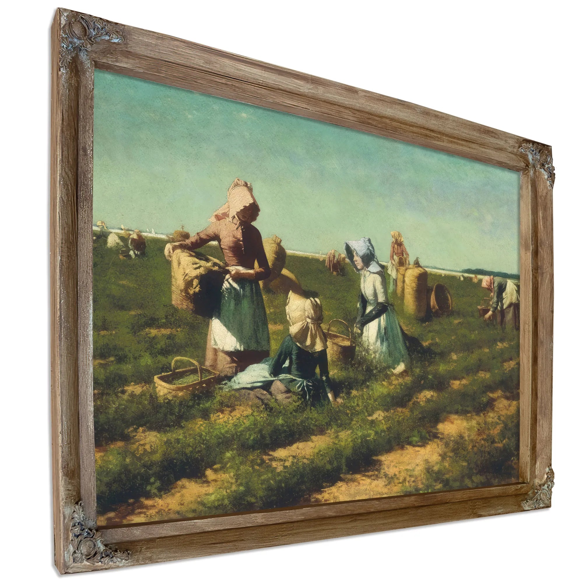 The Peapickers Of Long Island By Harry Roseland Fine Art Print
