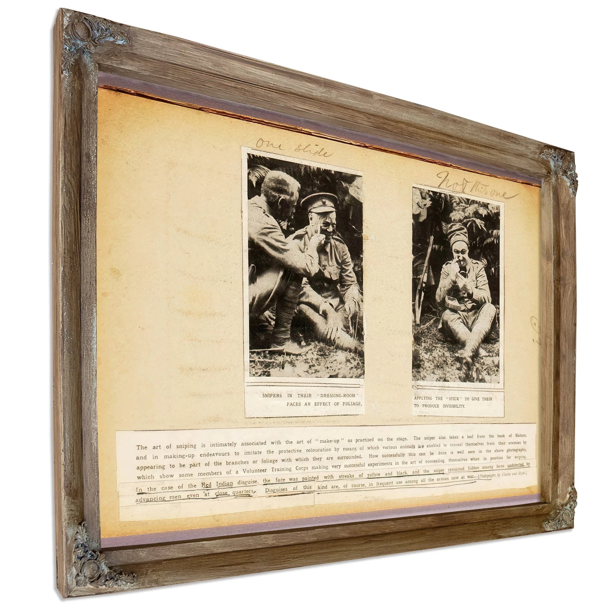The Art Of Sniping, Study Folder For Book Concealing Coloration In The Animal Kingdom By Abbott Handerson Thayer Fine Art Print