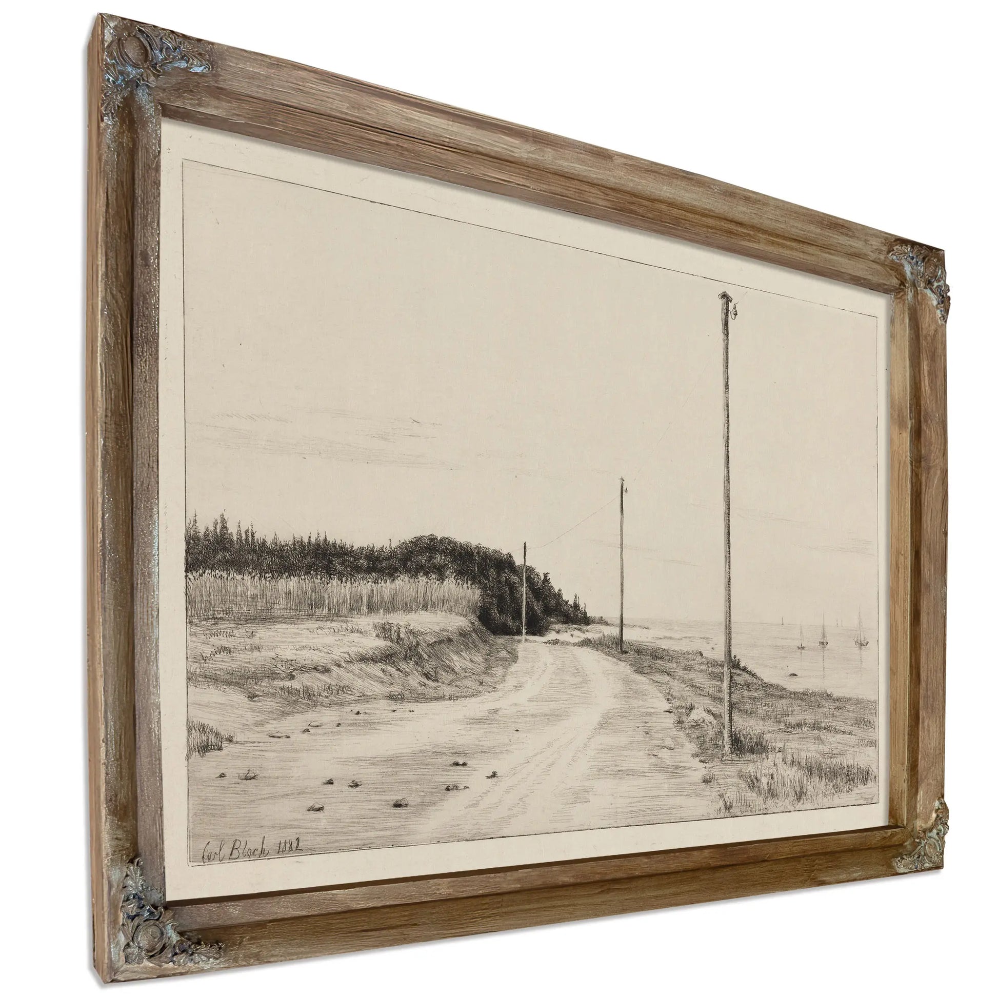 Strandvejen Ved Hornbaeksplantagen by Carl Bloch
