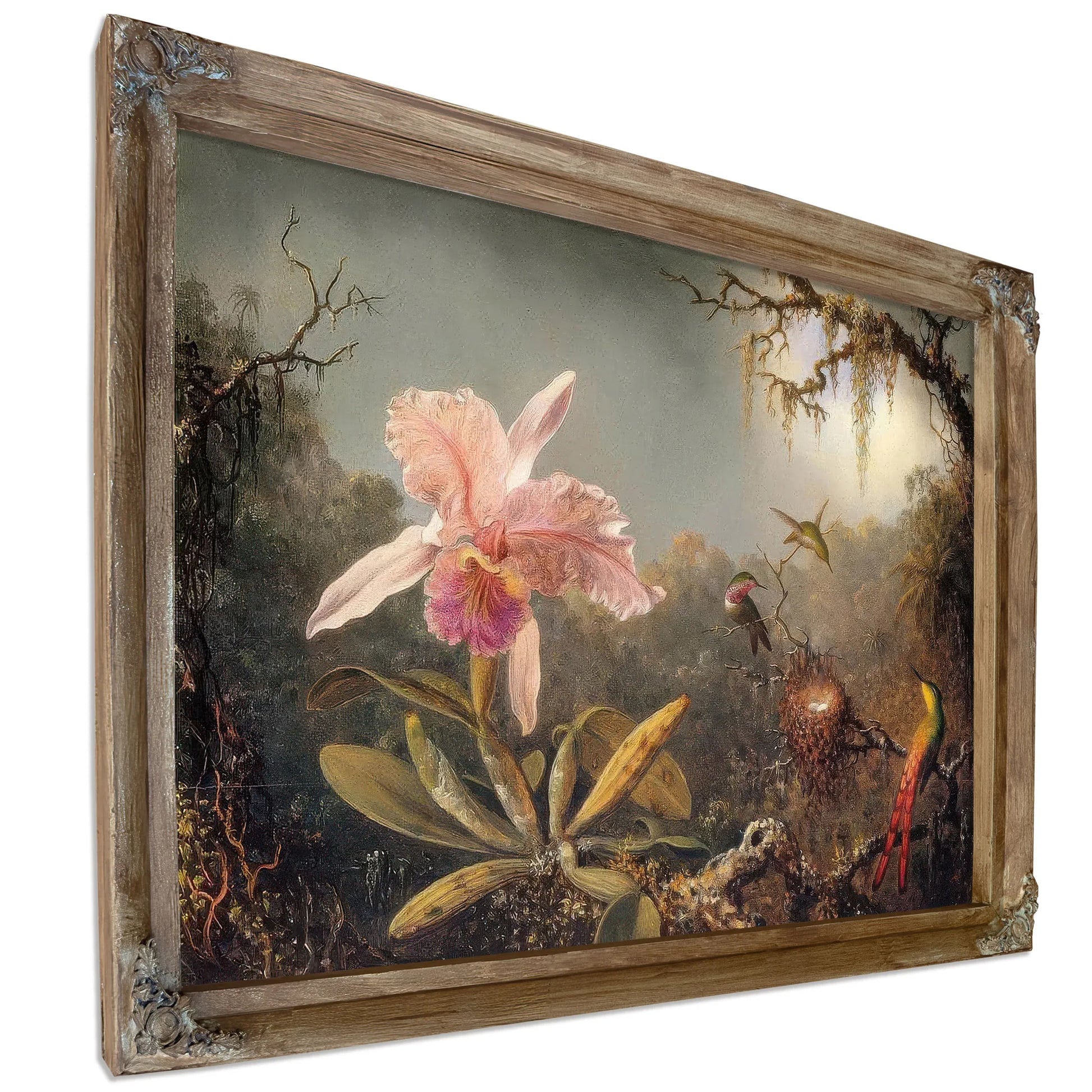 Cattleya Orchid And Three Brtazilian Hummingbirds By Martin Johnson Heade Fine Art Print