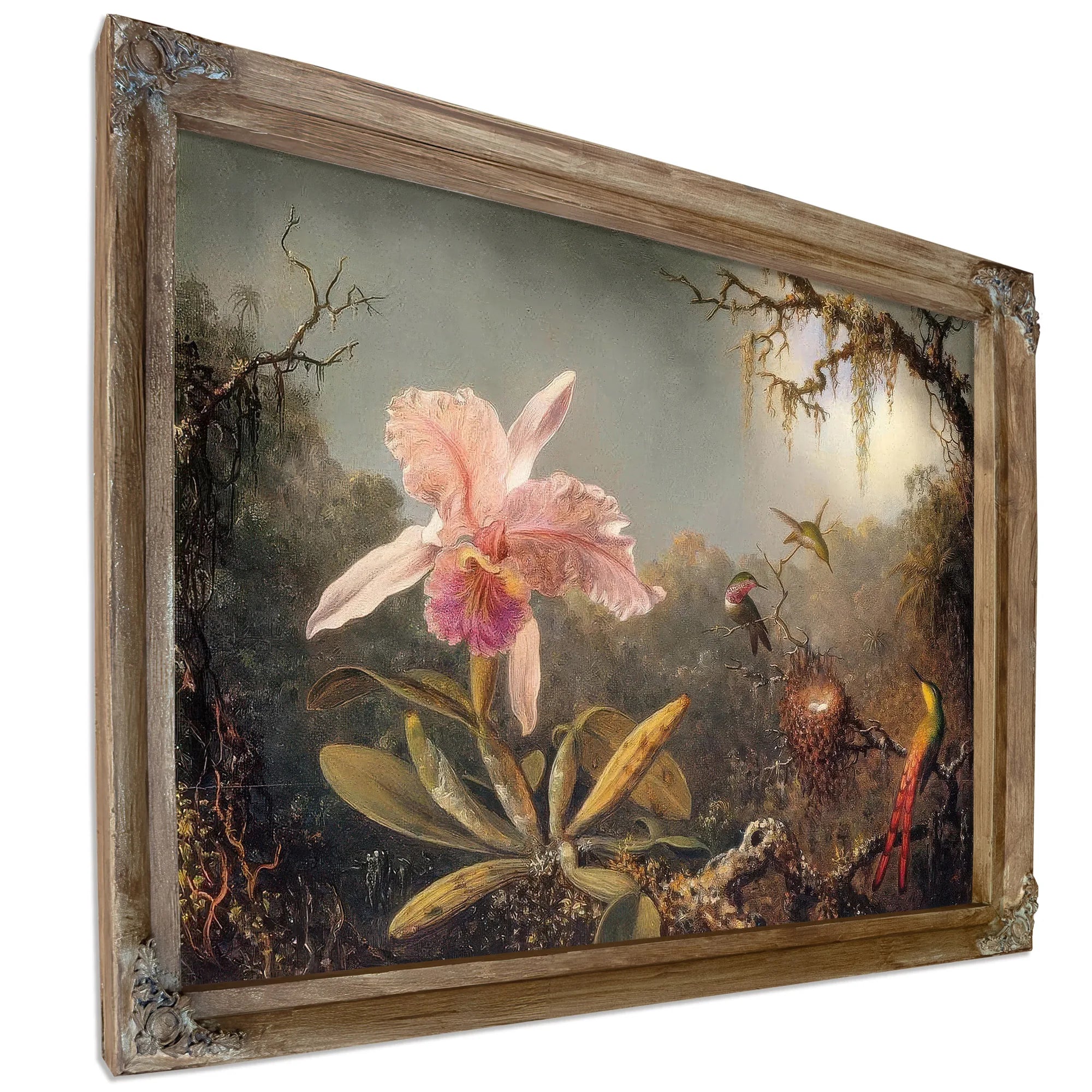 Cattleya Orchid And Three Brtazilian Hummingbirds By Martin Johnson Heade Fine Art Print