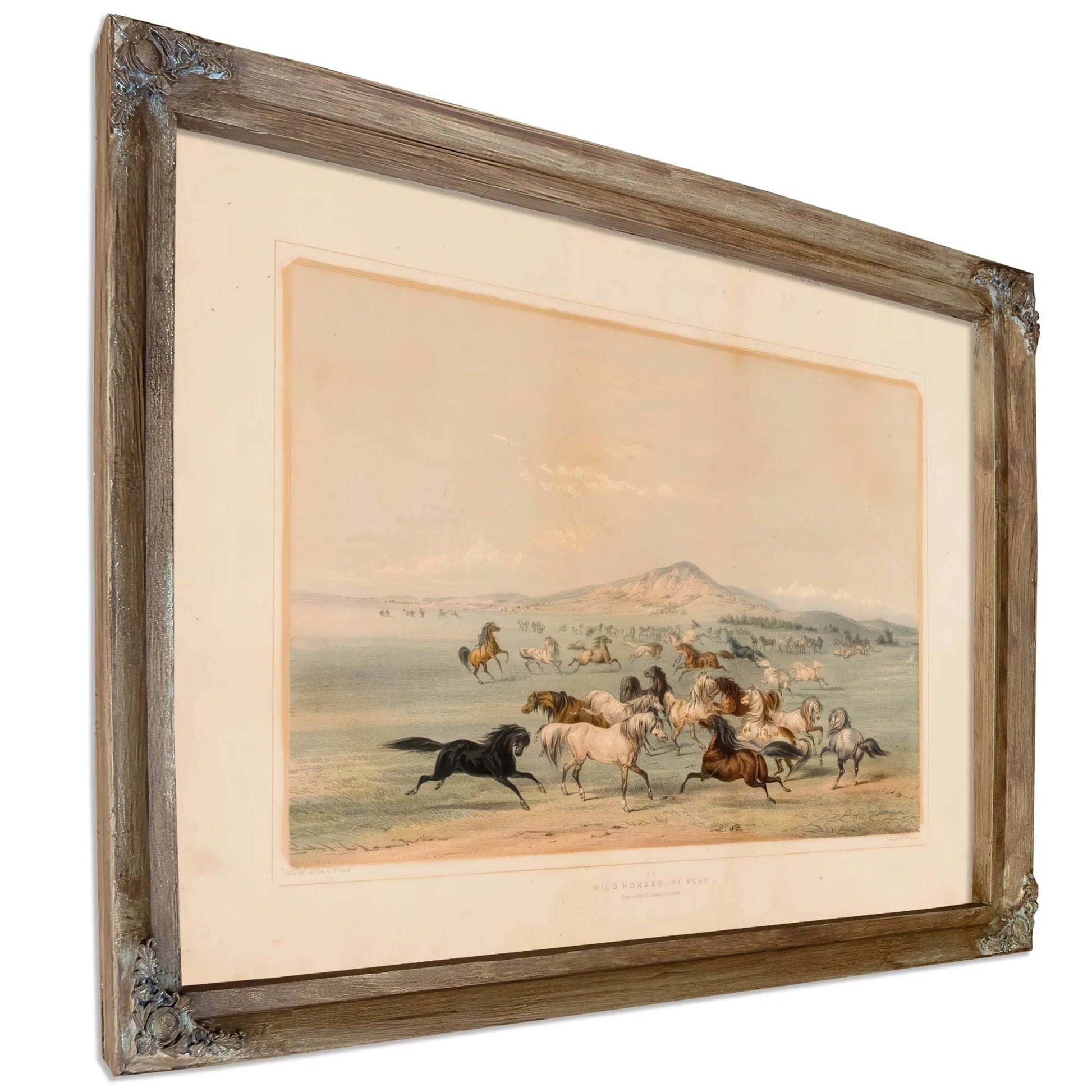 Wild Horses At Play No. 3 By George Catlin Fine Art Print