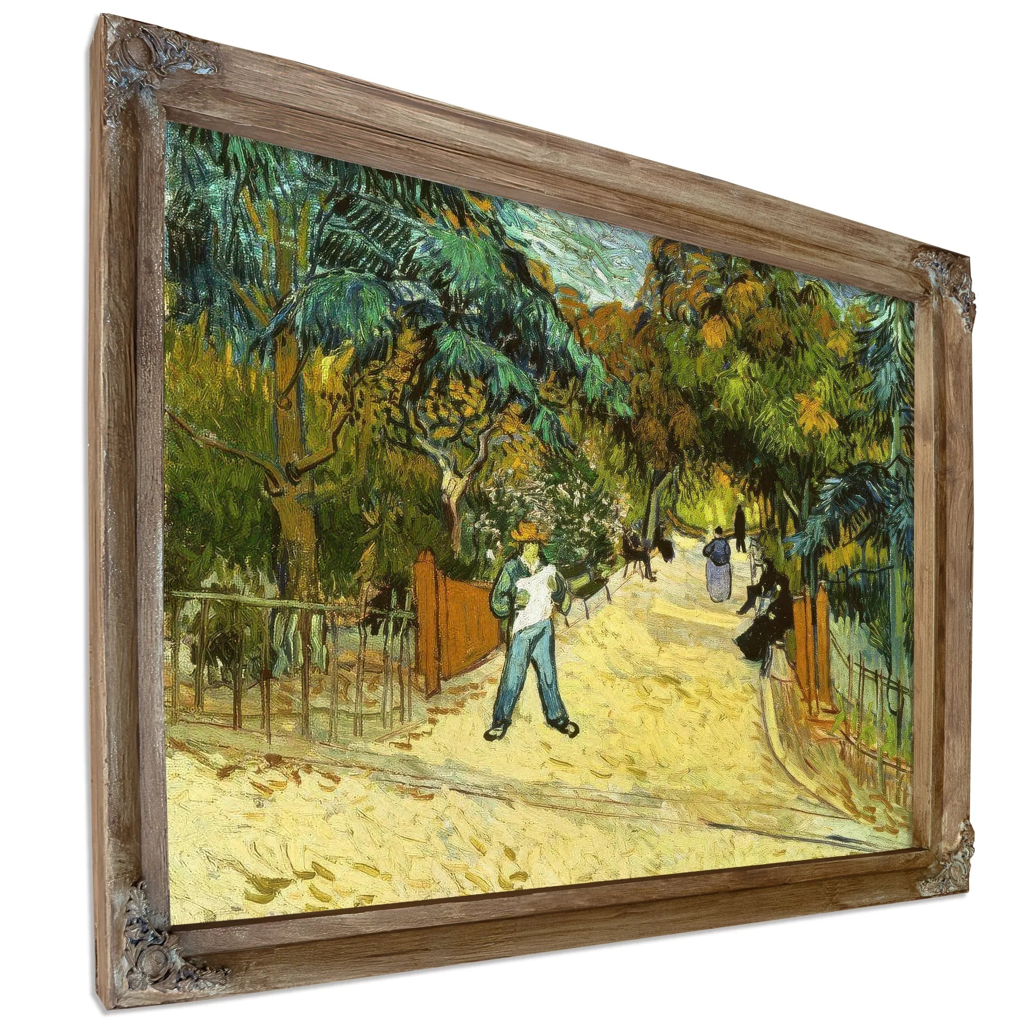 Entrance To The Public Gardens In Arles By Vincent Van Gogh Fine Art Print