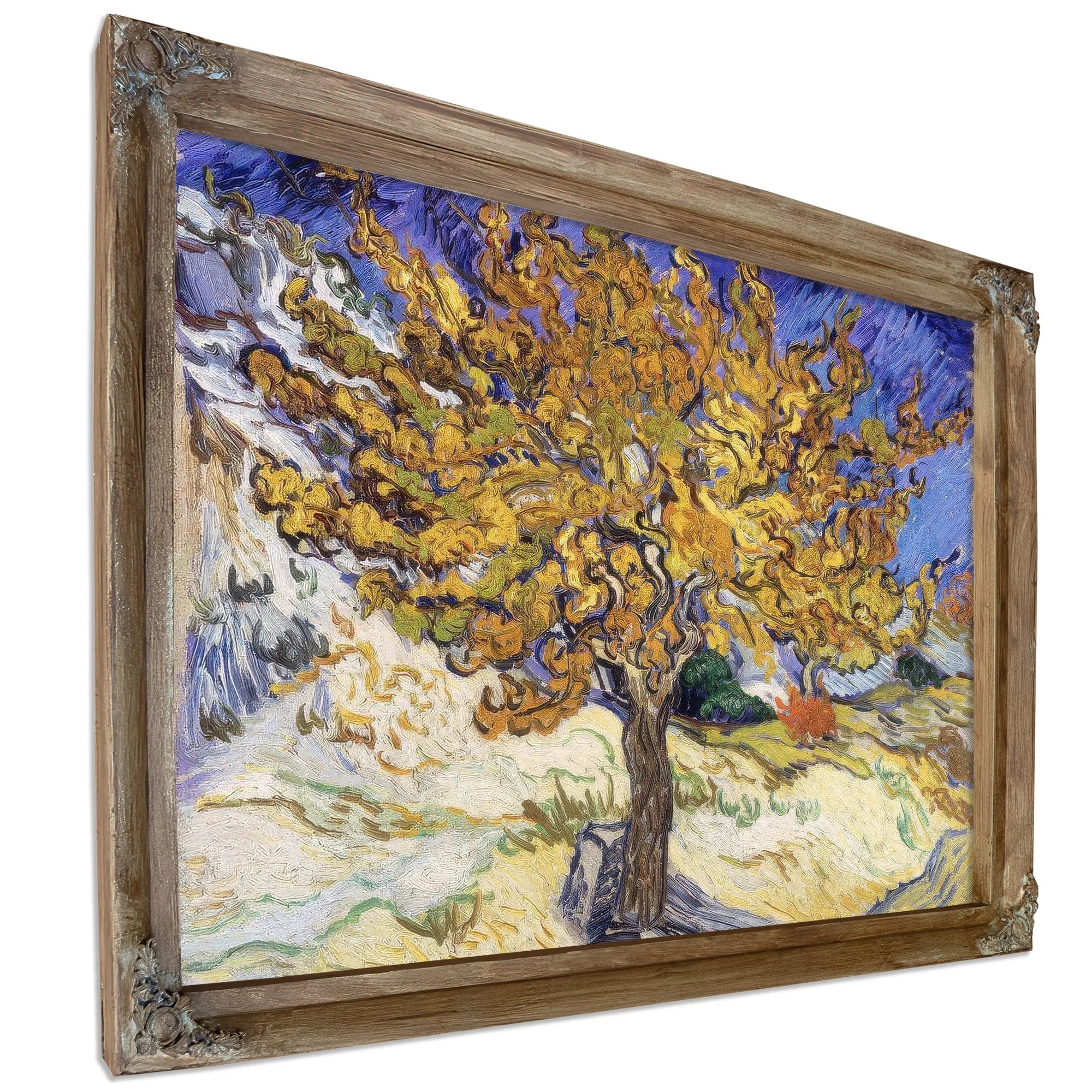 Mulberry Tree By Vincent Van Gogh Fine Art Print