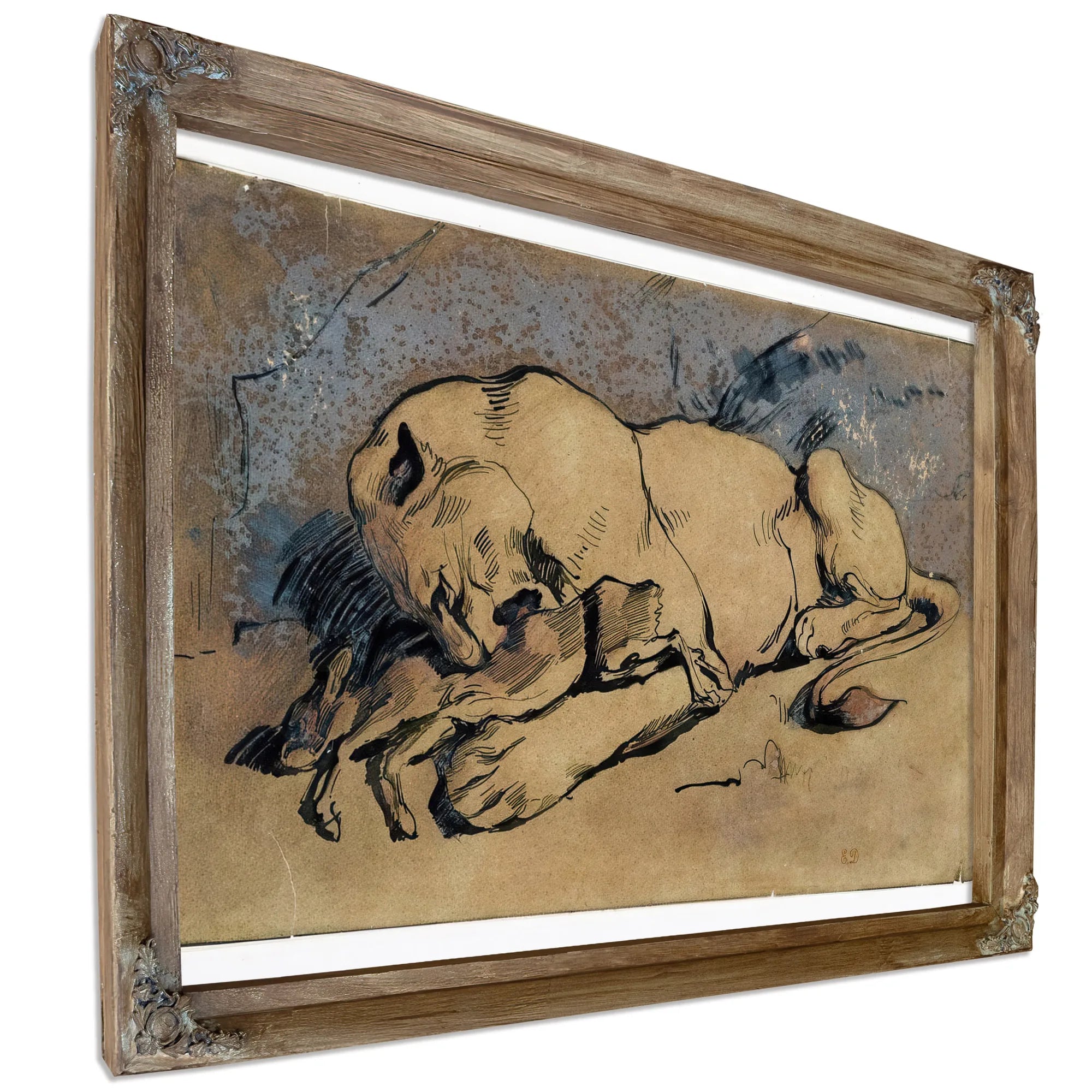 Lioness Devouring A Rabbit By Eugene Delacroix Fine Art Print