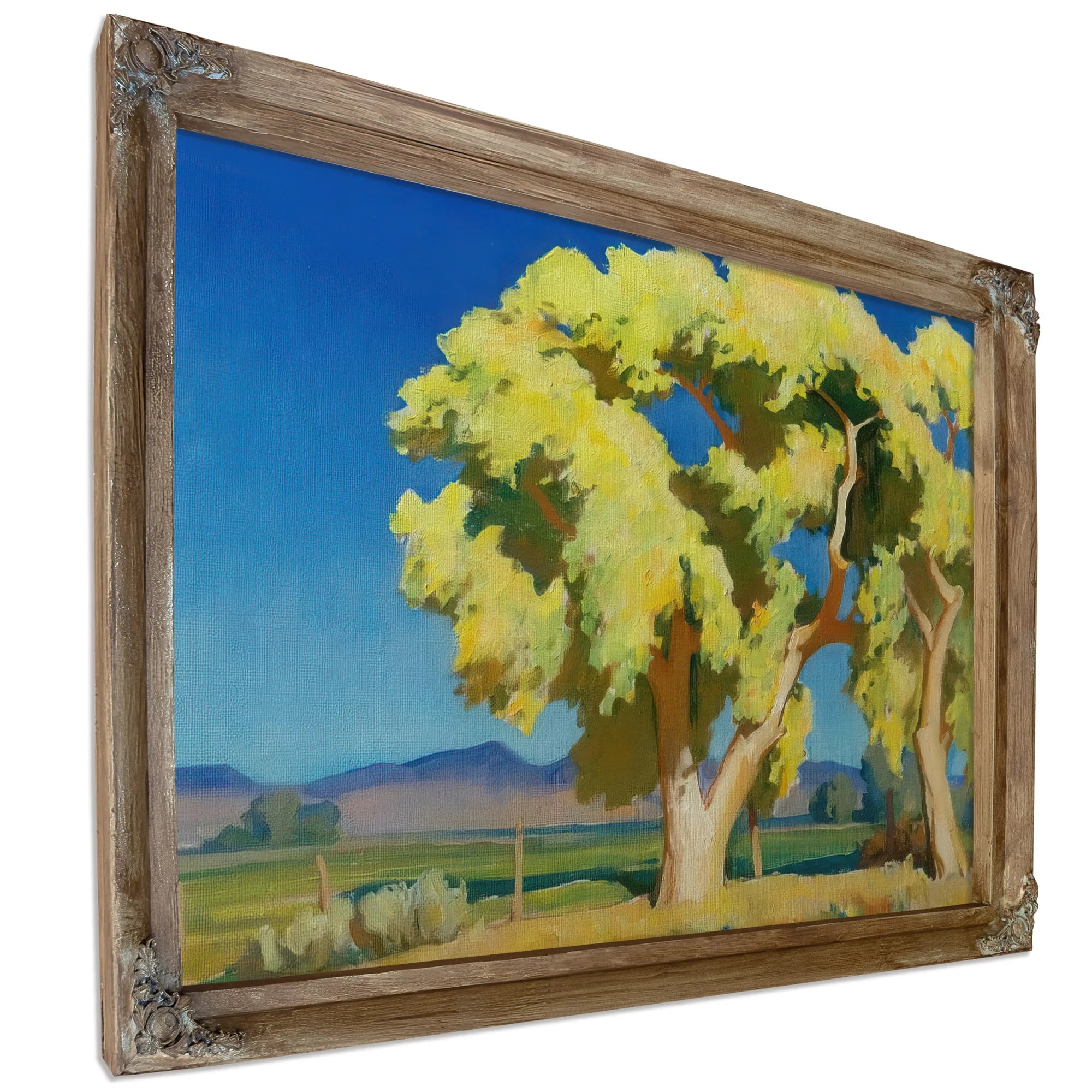 Young Cottonwoods By Maynard Dixon Fine Art Print