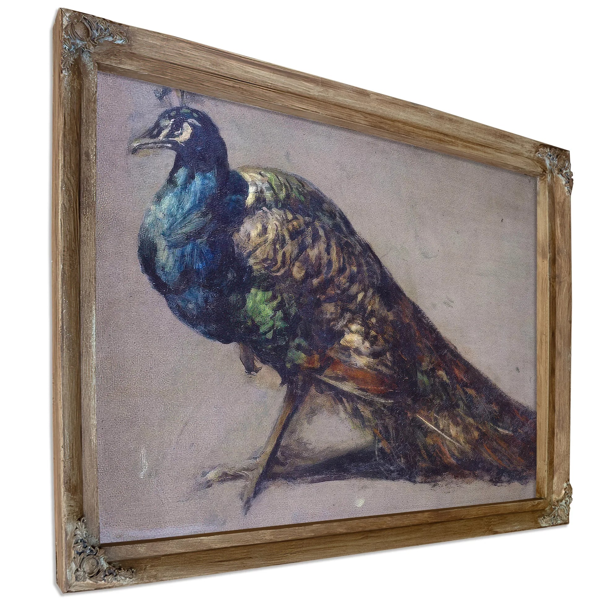 Study Of A Peacock For 'The Judgement Of Paris' By William Etty Fine Art Print