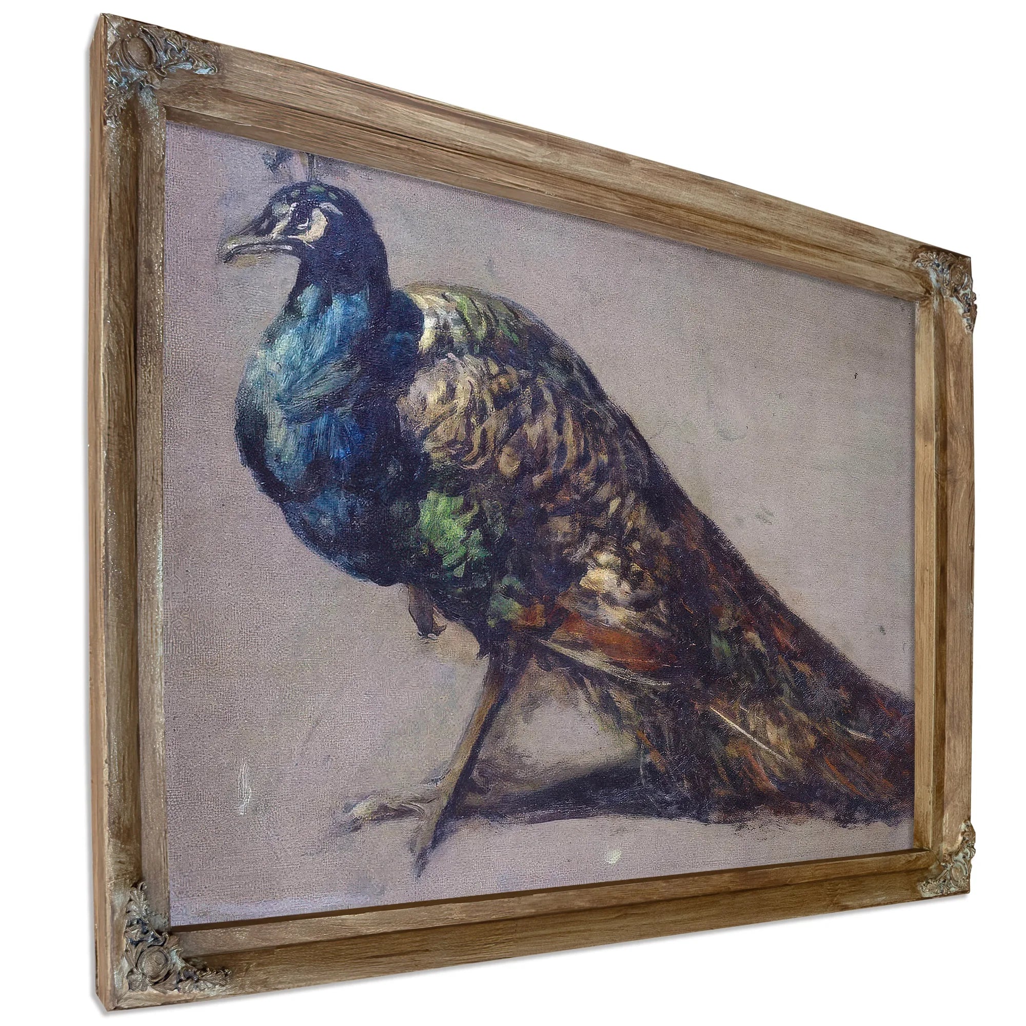Study Of A Peacock For 'The Judgement Of Paris' By William Etty Fine Art Print