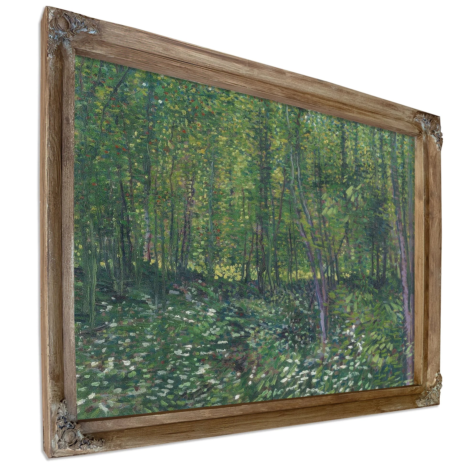 Trees And Undergrowth By Vincent Van Gogh Fine Art Print