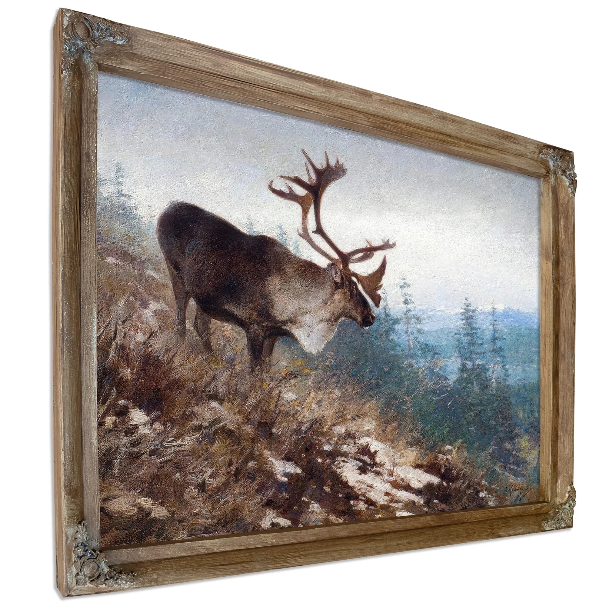Yukon King Caribou By Carl Rungius Fine Art Print