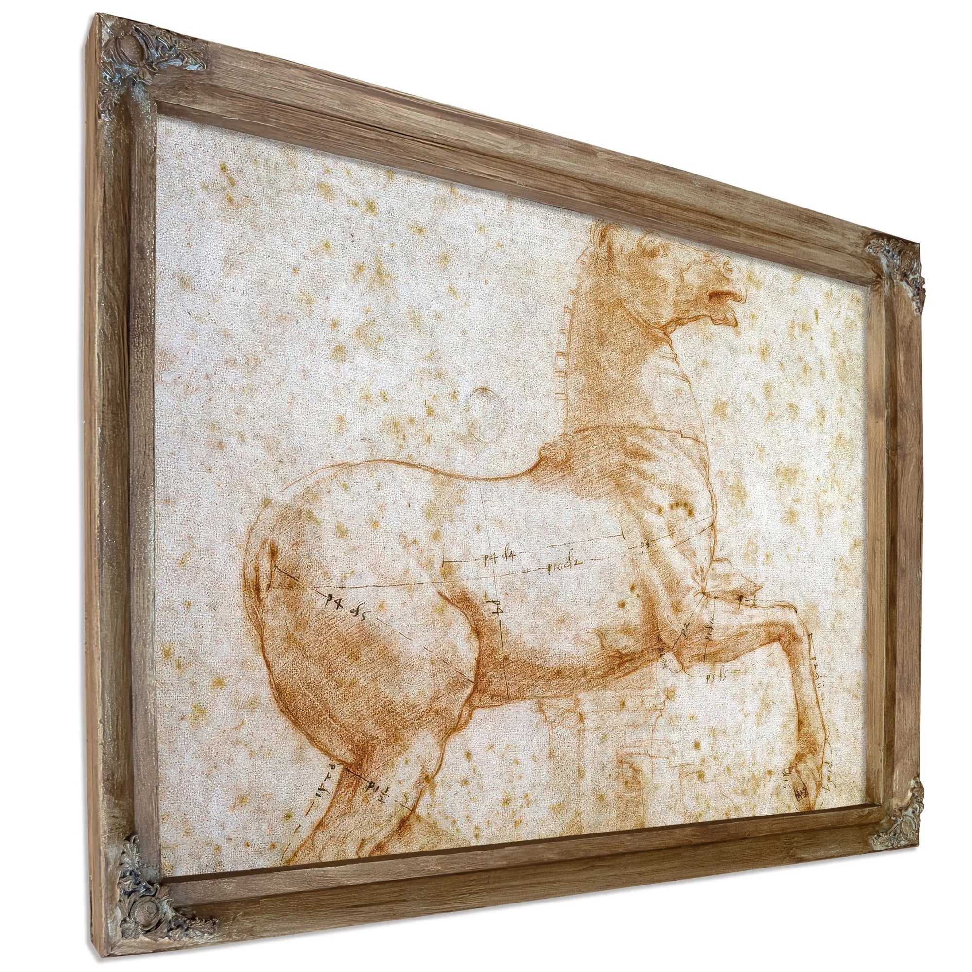 Study Of One Of The Quirinal Marble Horses By Raphael Fine Art Print