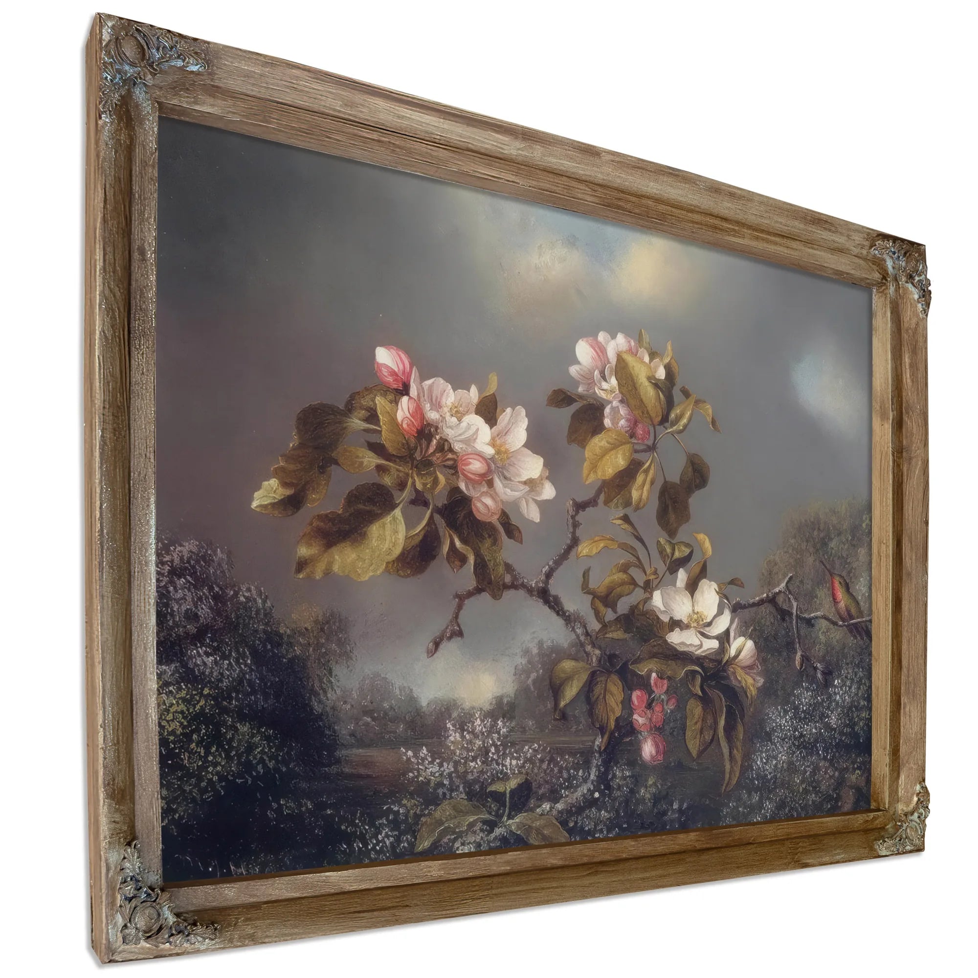Apple Blossoms And Hummingbird By Martin Johnson Heade Fine Art Print