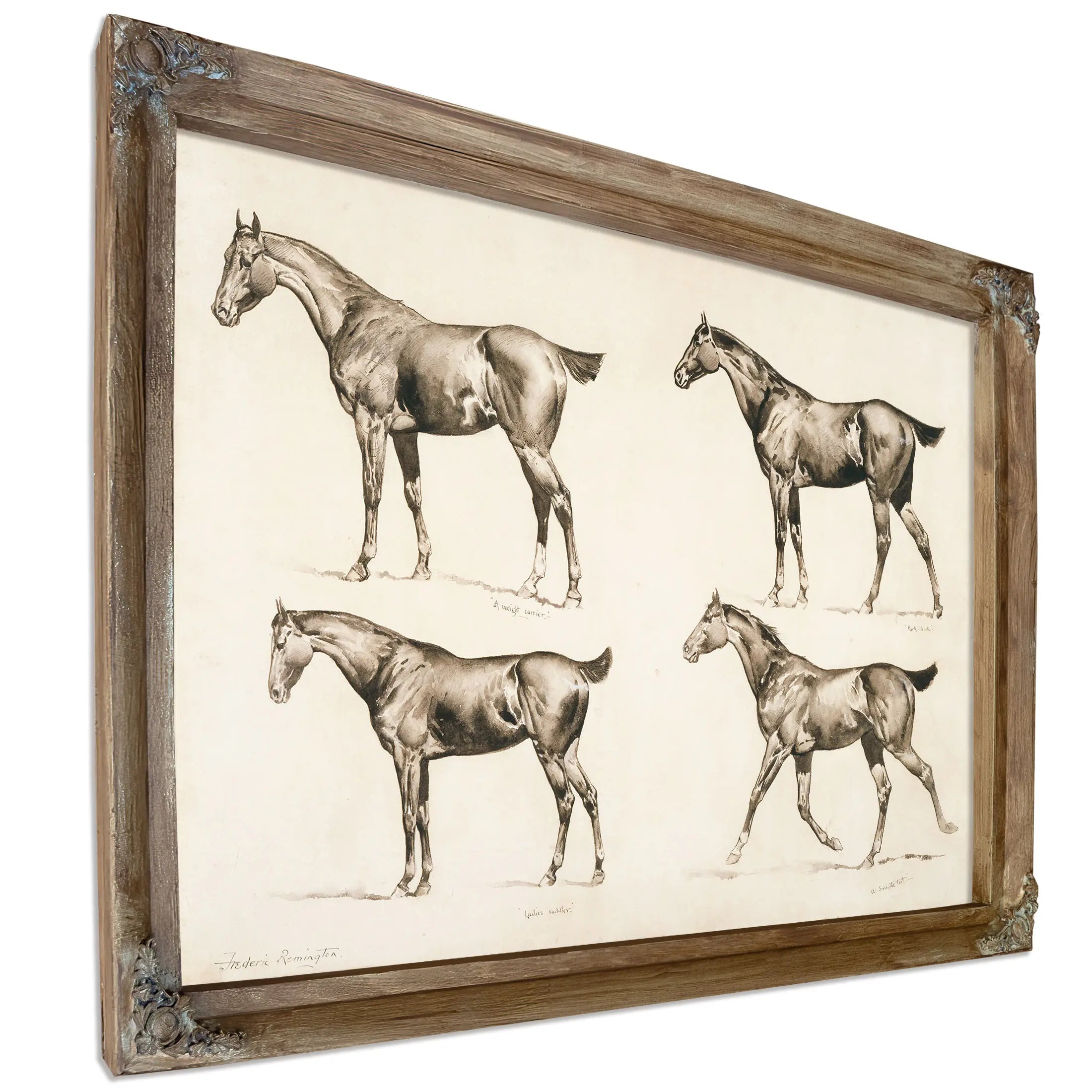 Types Of Saddle Horses by Frederic Remington