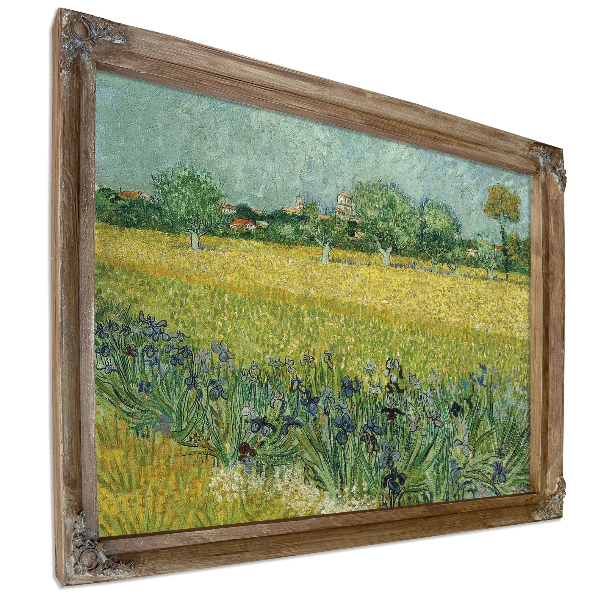 Field With Flowers Near Arles By Vincent Van Gogh Fine Art Print