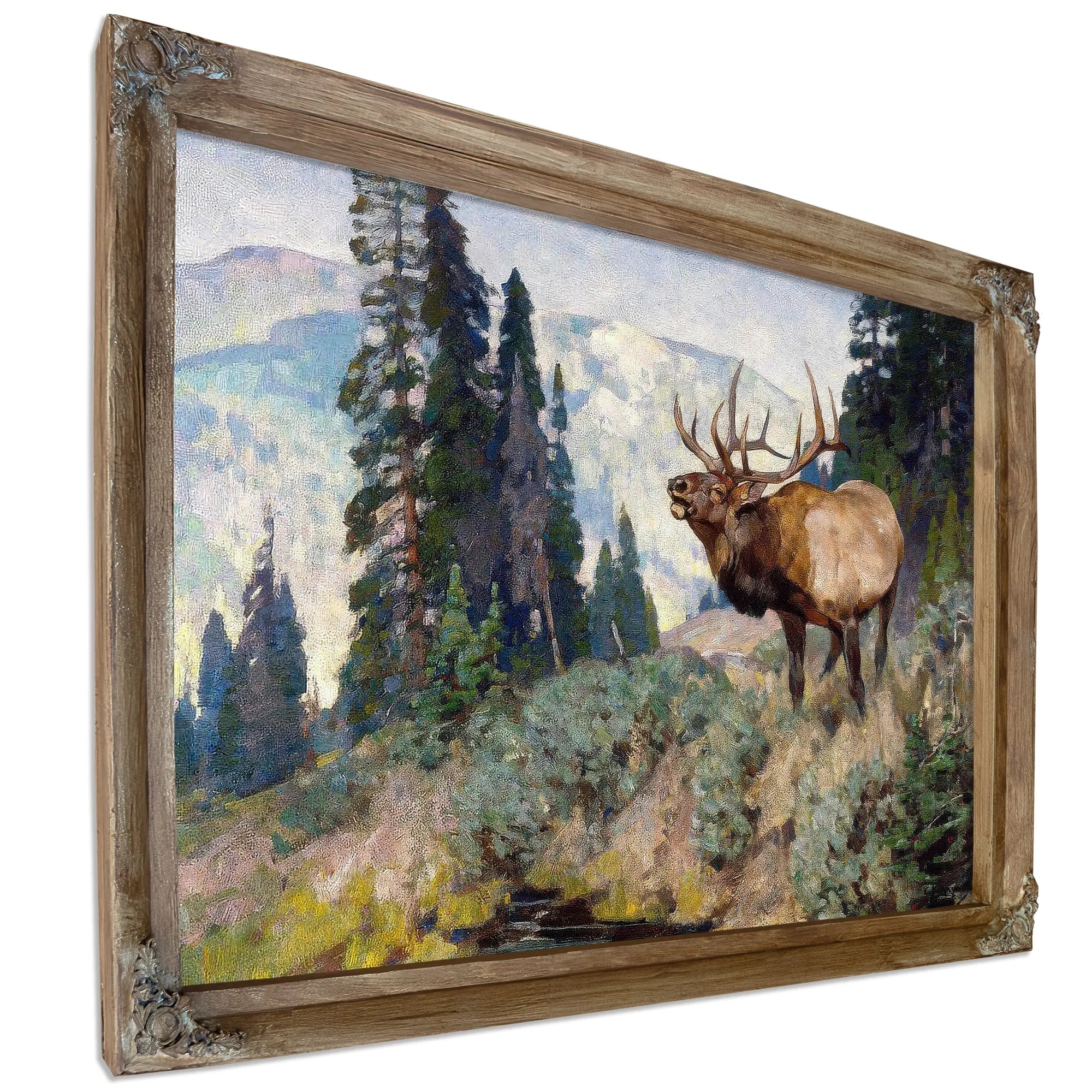 Wind River Bugler By Carl Rungius Fine Art Print