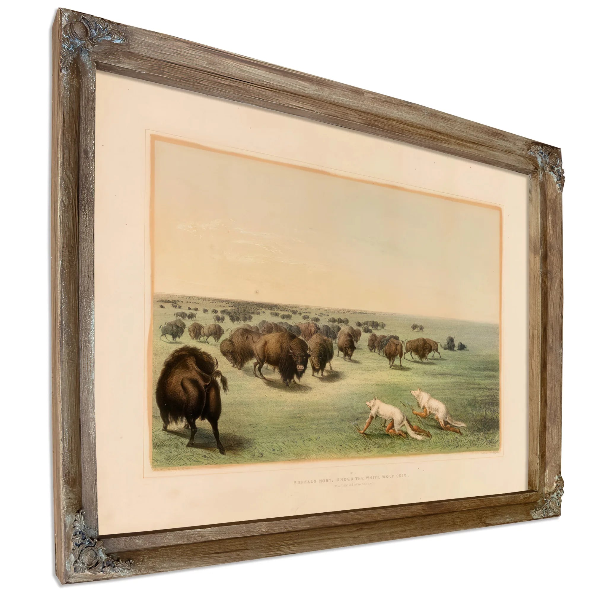 Buffalo Hunt, Under The White Wolfskin No. 13 By George Catlin Fine Art Print