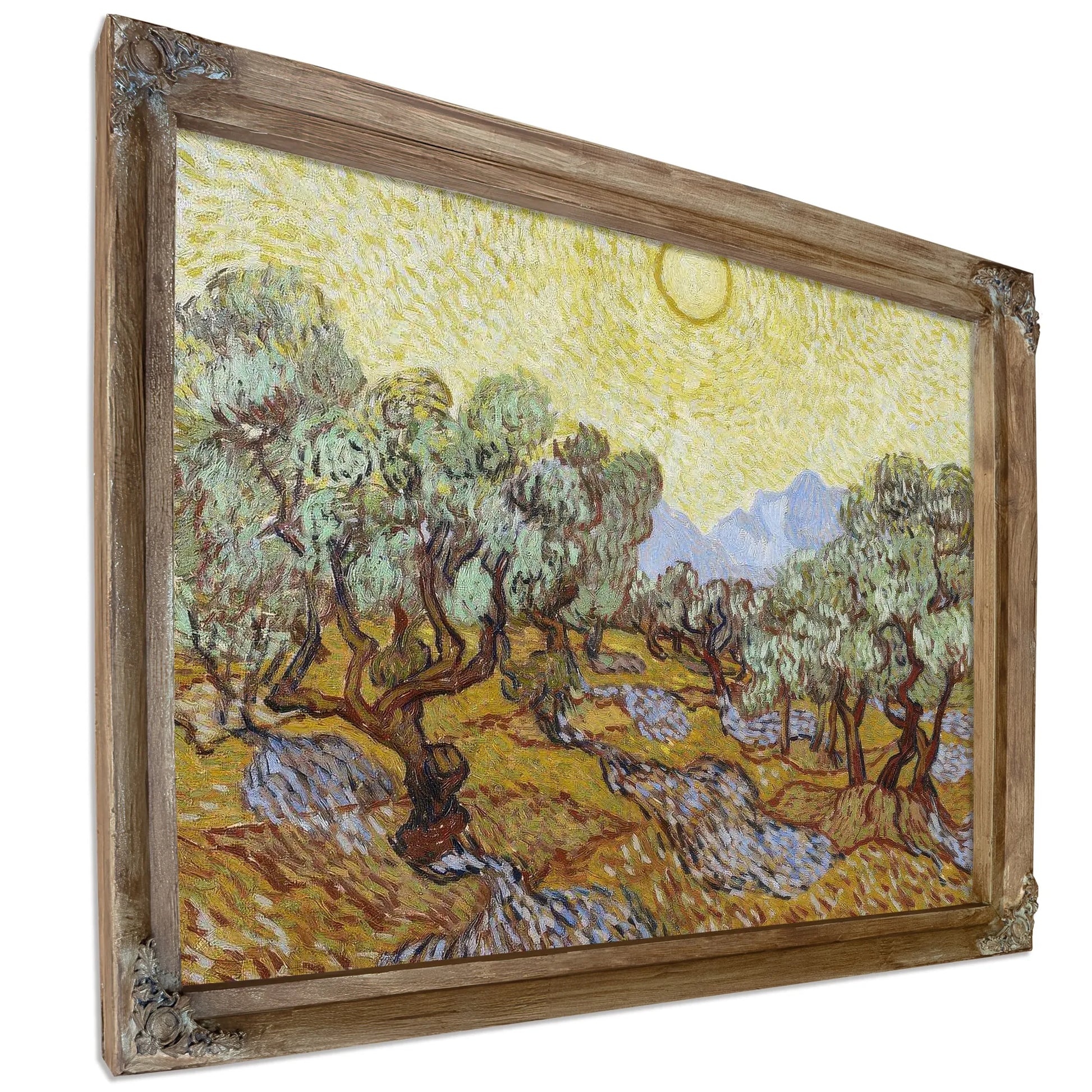 Olive Trees By Vincent Van Gogh Fine Art Print