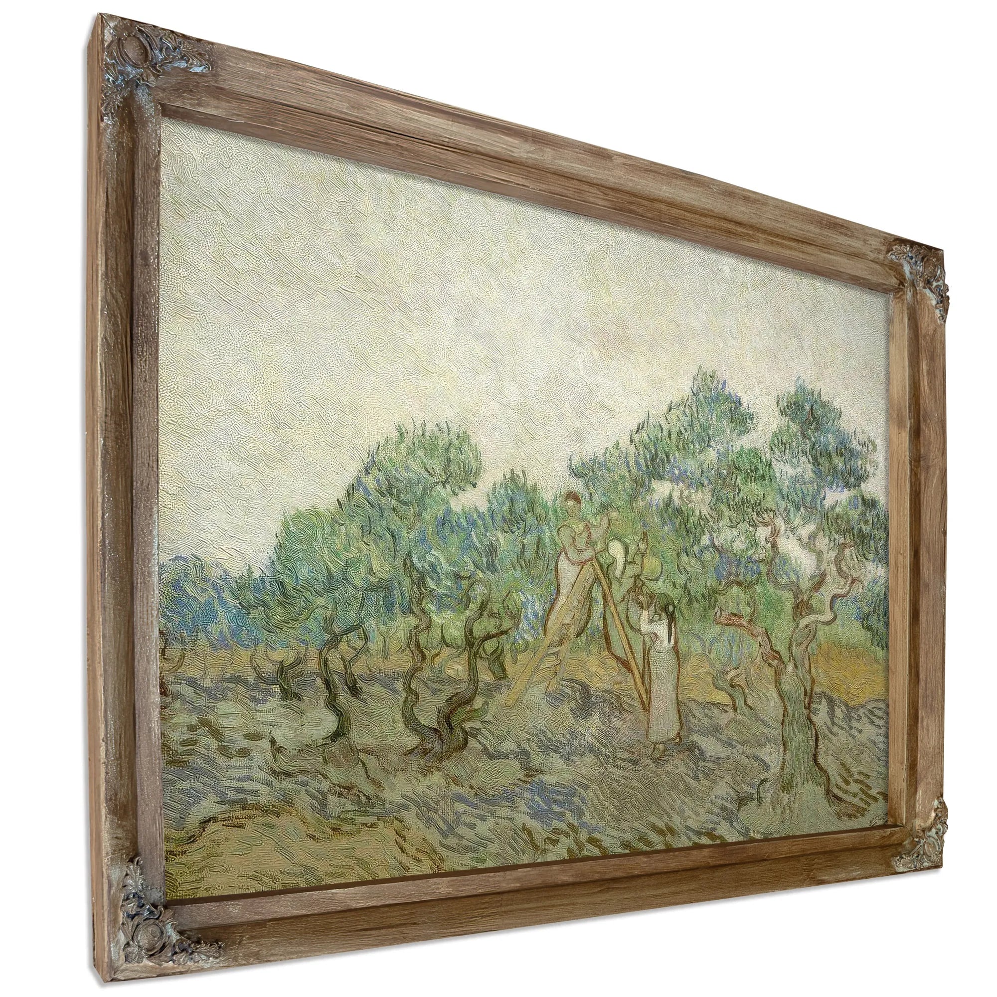 The Olive Orchard By Vincent Van Gogh Fine Art Print