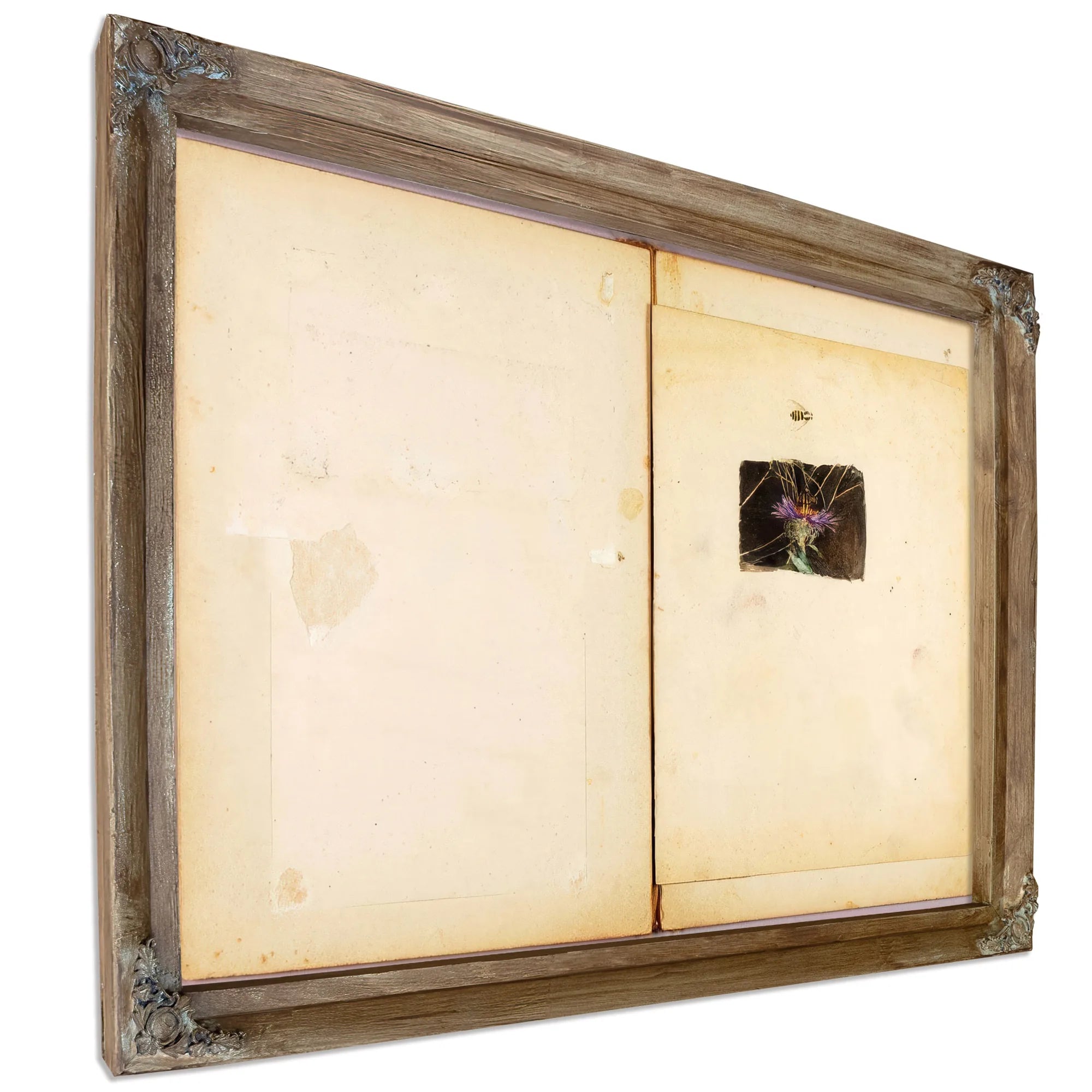 Ostrich, Study Folder For Book Concealing Coloration In The Animal Kingdom By Abbott Handerson Thayer Fine Art Print