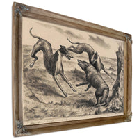 Hounds And Coyote (C. 12), 1931 By John Steuart Curry