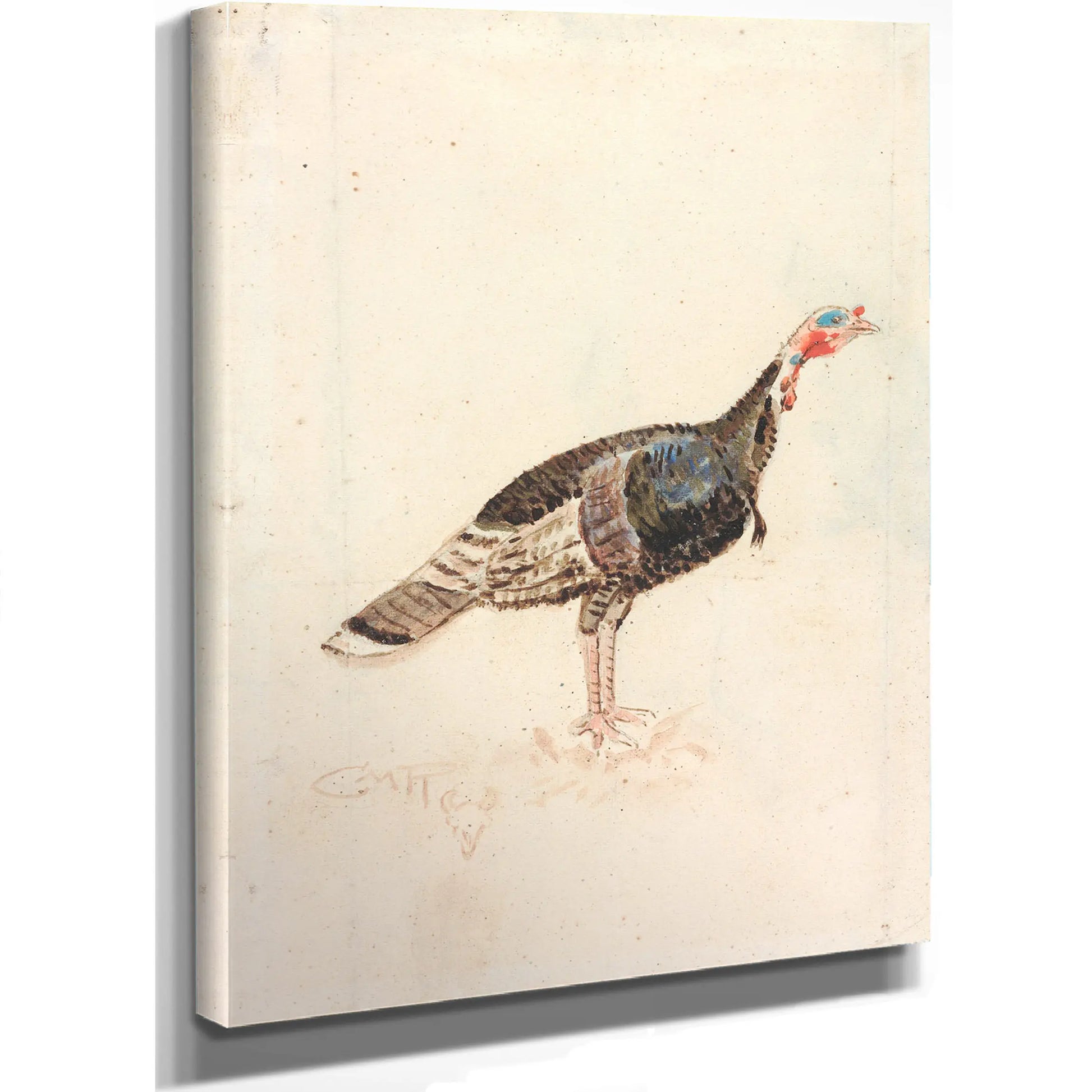 The Turkey by Charles Marion Russell